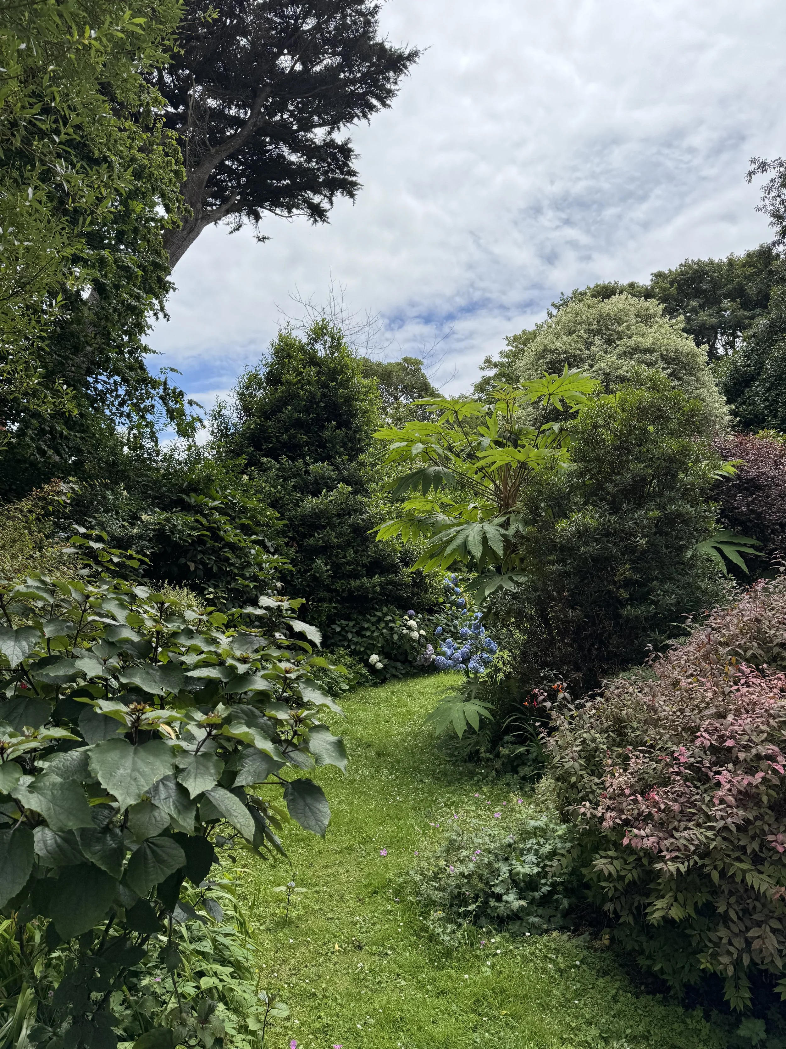 IMG_1009.jpeg