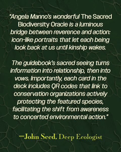 endorsement-5-john-seed.png