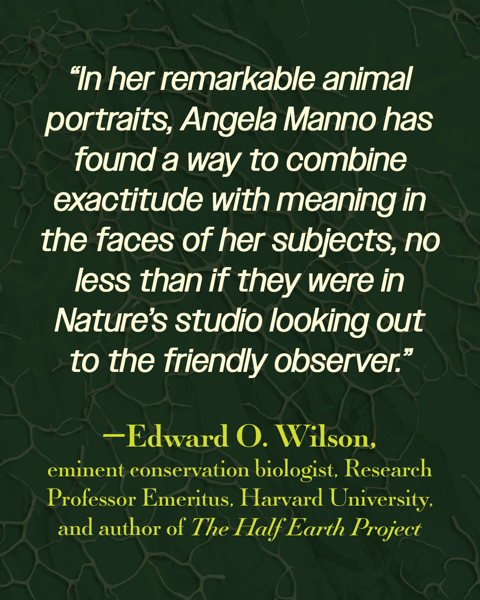 endorsement-3-edward-o-wilson.png