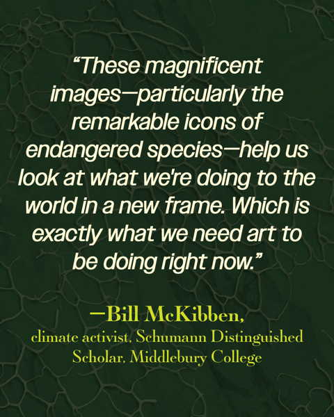 endorsement-2-bill-mckibben.png