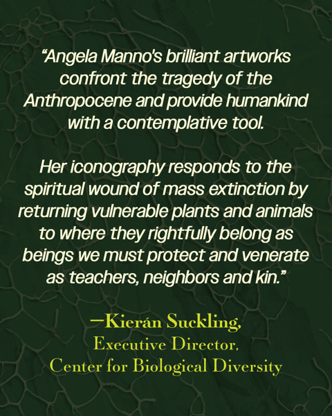 endorsement-4-kieran-suckling.png