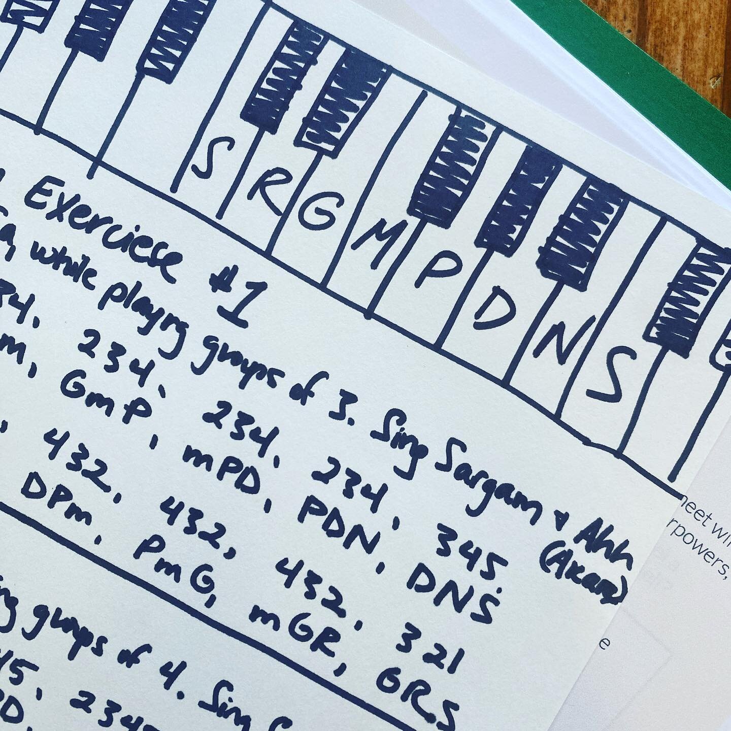 I'm a big believer in going with the flow, listening to synchronicities and meeting life where it keeps you.
Today, I find myself in that flow meeting coaching clients who also want to learn to find their voice and play the harmonium.
I'm grateful an