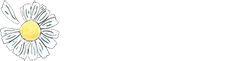 Daisy Distillery