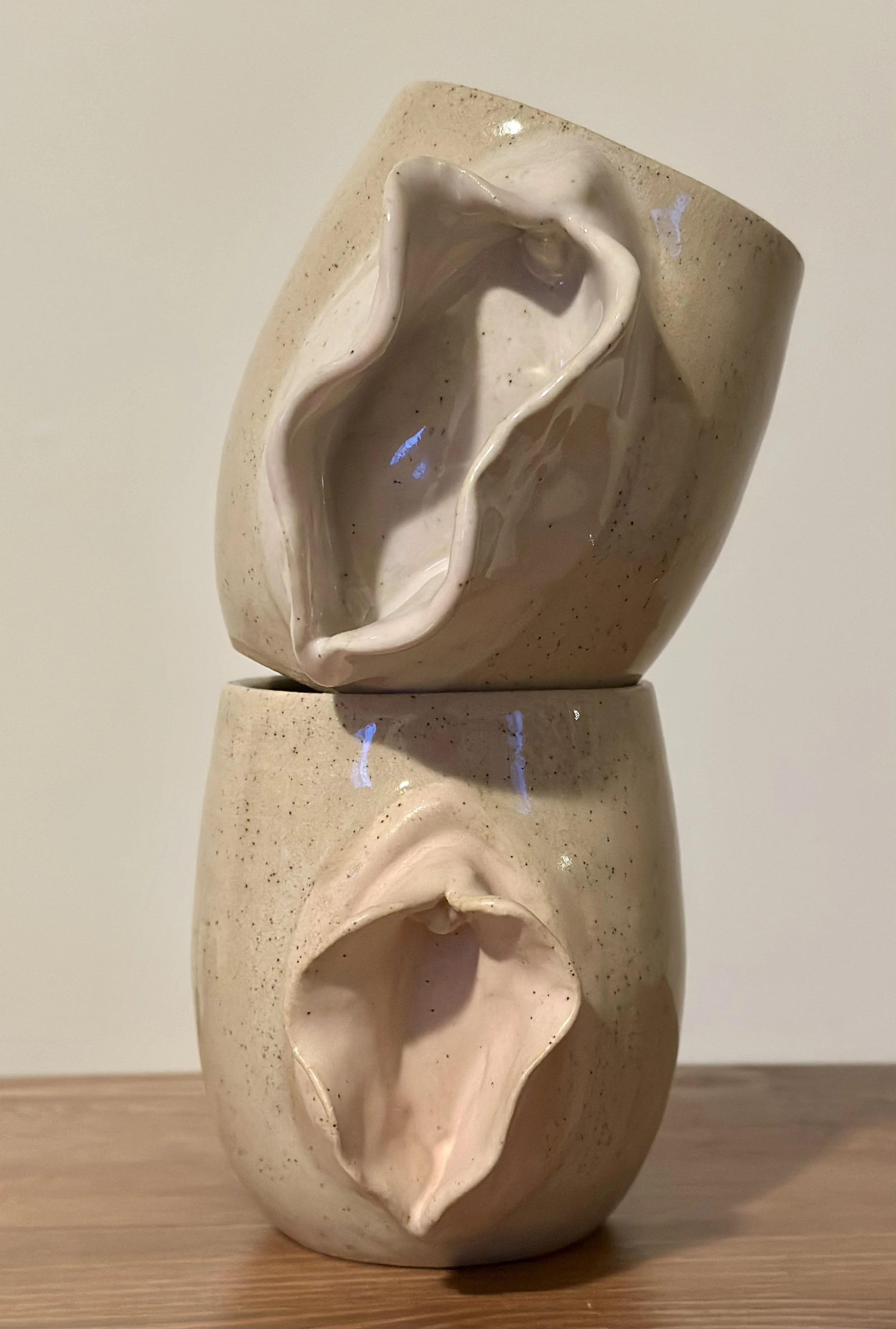 vulva-mug.jpg