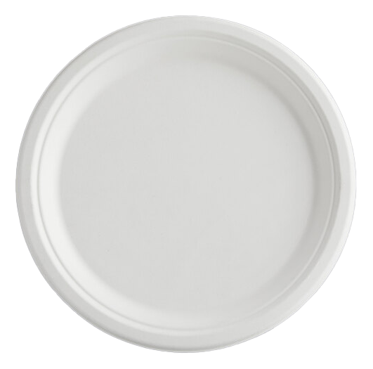 P09.png