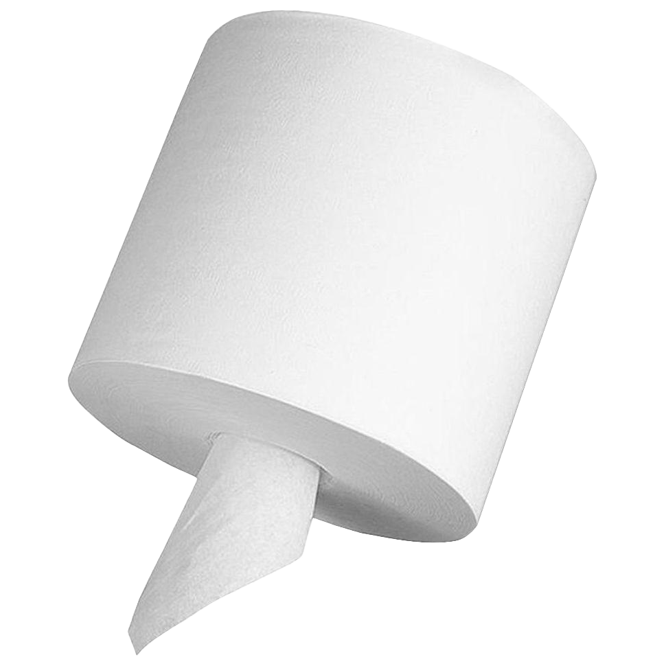 NP-H140: Center Pull Paper Towel
