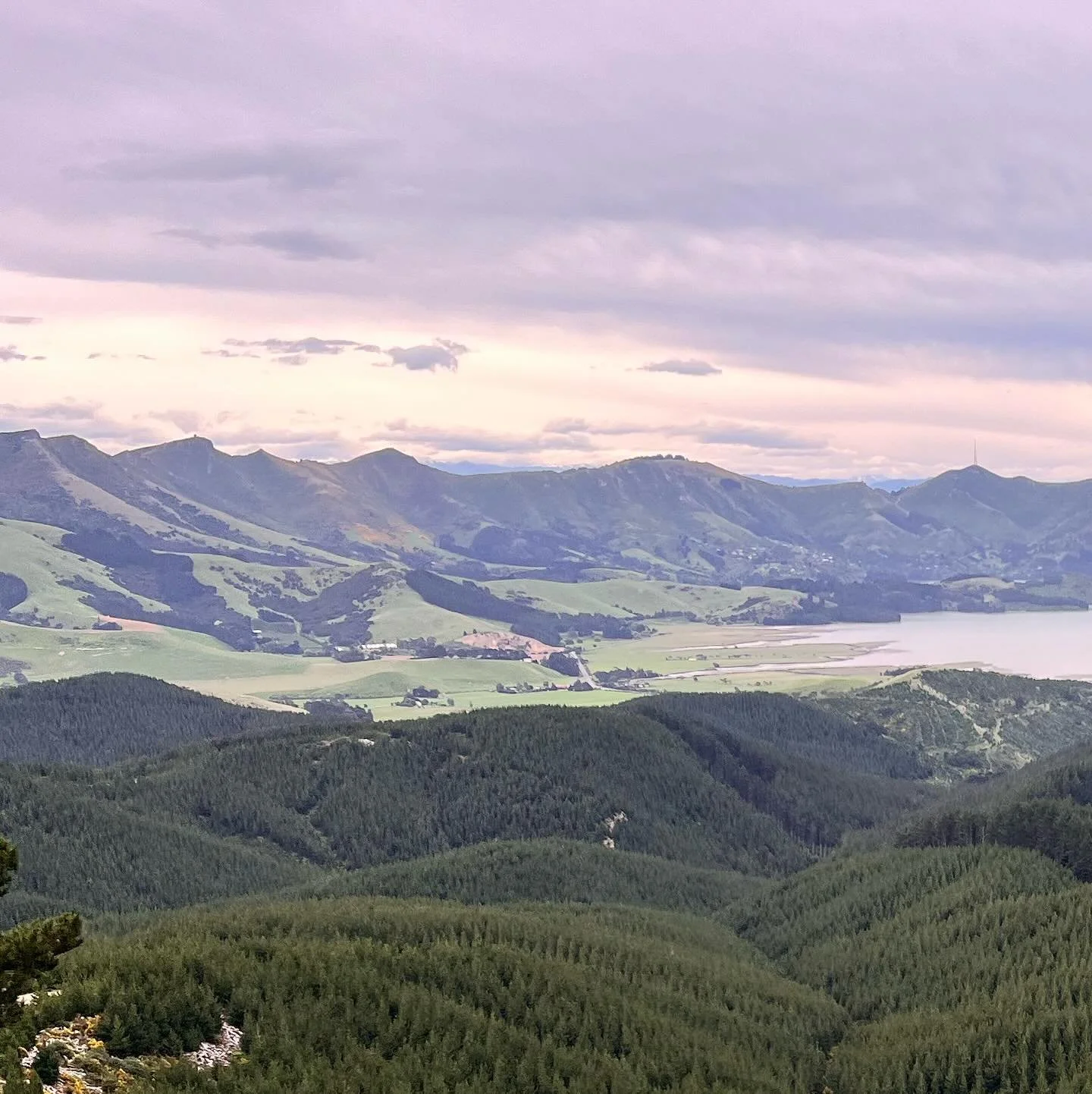 It’s important to recharge and take time for yourself. Whether that’s going for a hike, reading a book, meditation or spending time with your whānau. Make sure to put that time aside and look after yourself. 
#Holdmine #Nature #Books #Fa