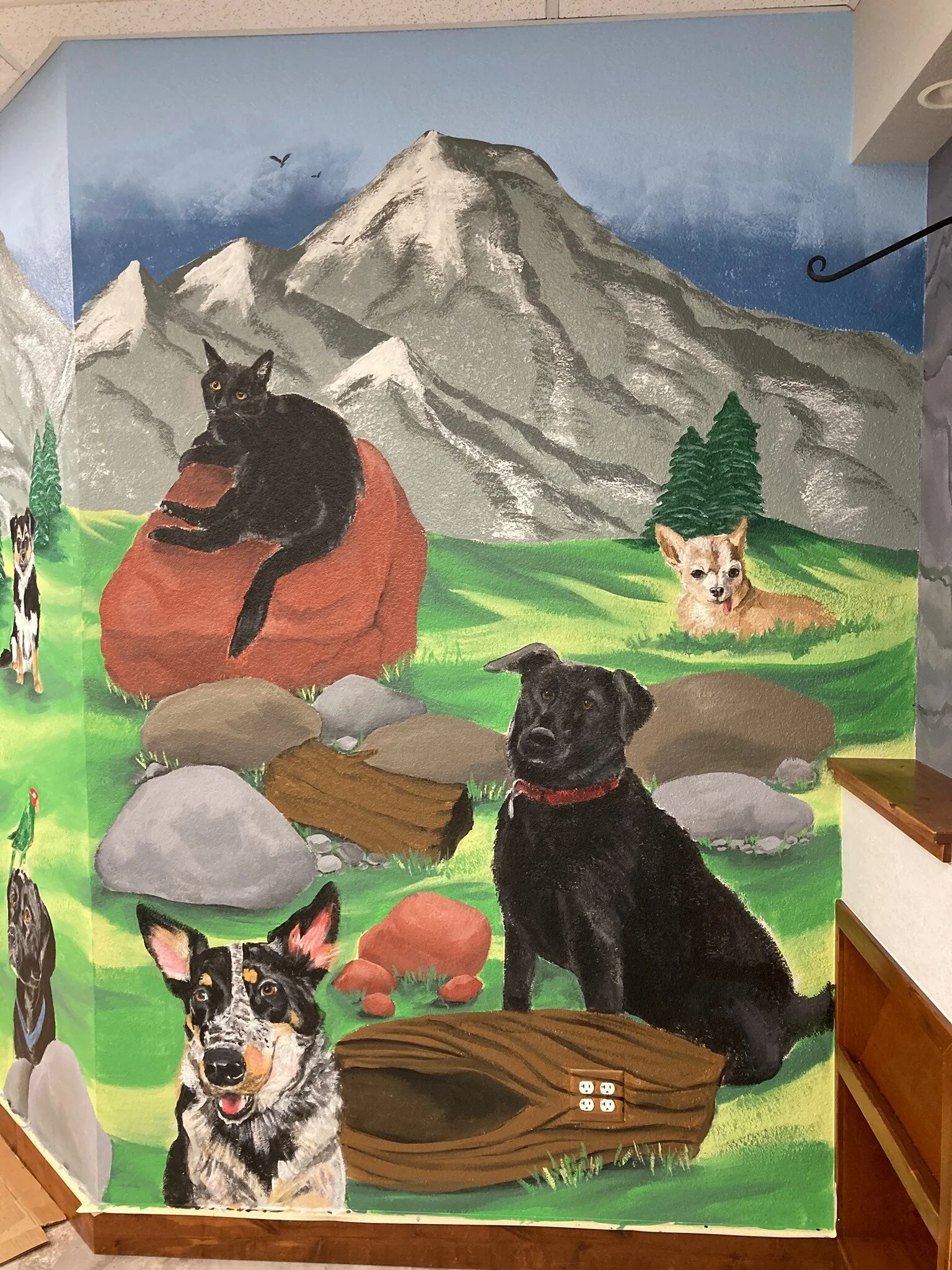 Each pet in this mural belongs to the vets and owner of the clinic.  They send me several photos of their pets and from their I mock up the layout via photoshop and send for approval. A few tweaks and animal additions are requested and made. Once all