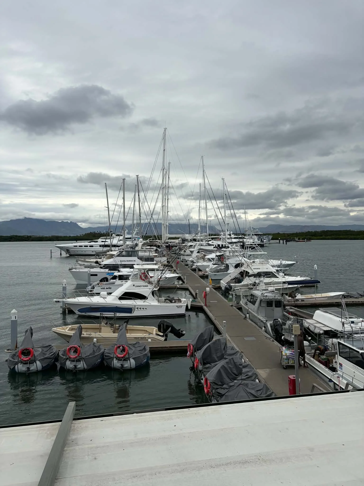 Port Denarau Marina.jpg