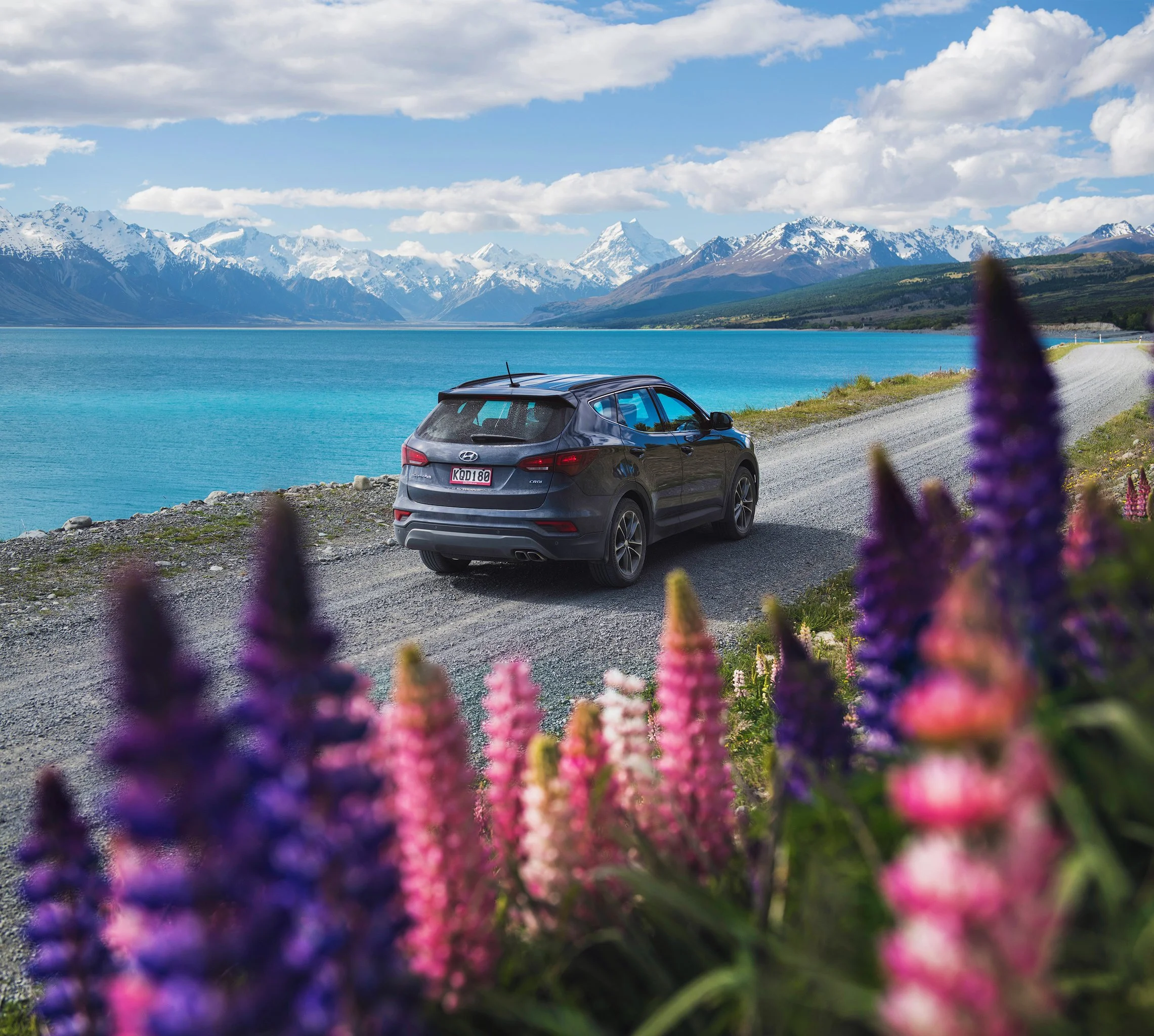 Go Rental New Zealand