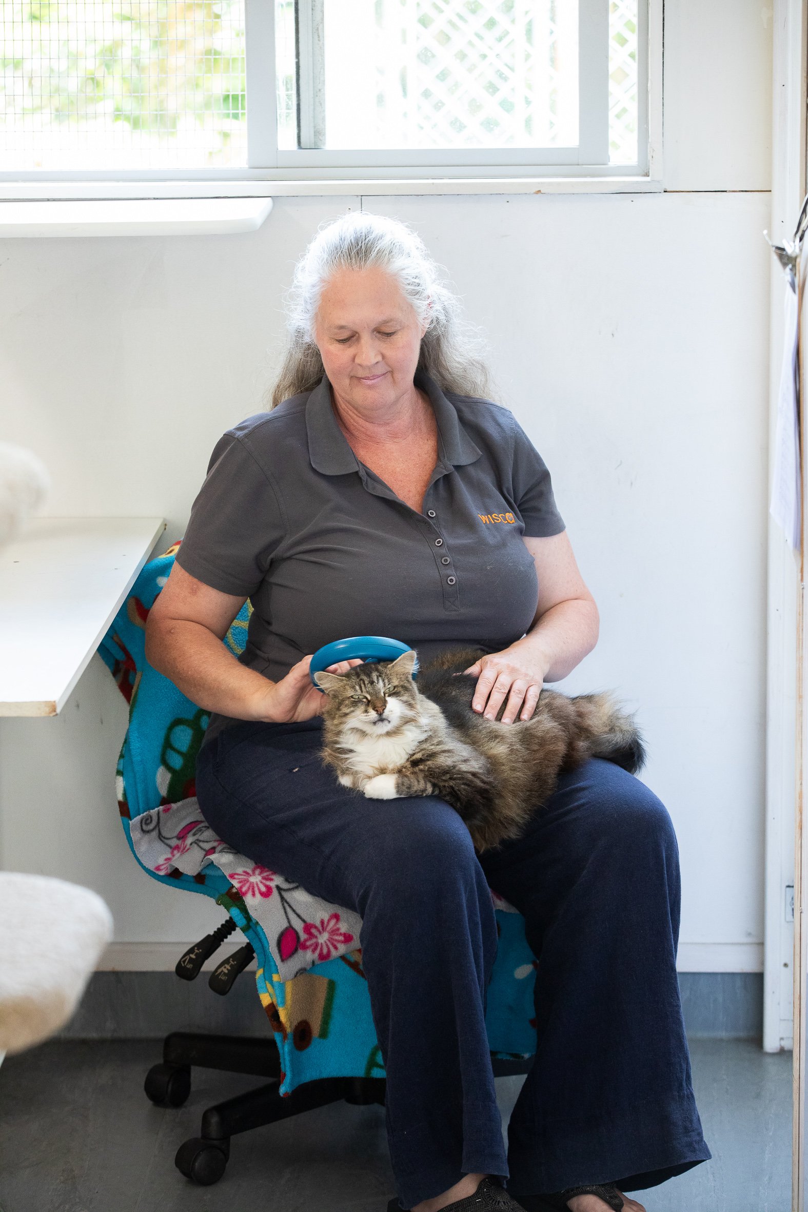 WISCA's animal advocate sitting with a long-haired tabby and white cat on her knee and holding a microchip scanner above its neck.