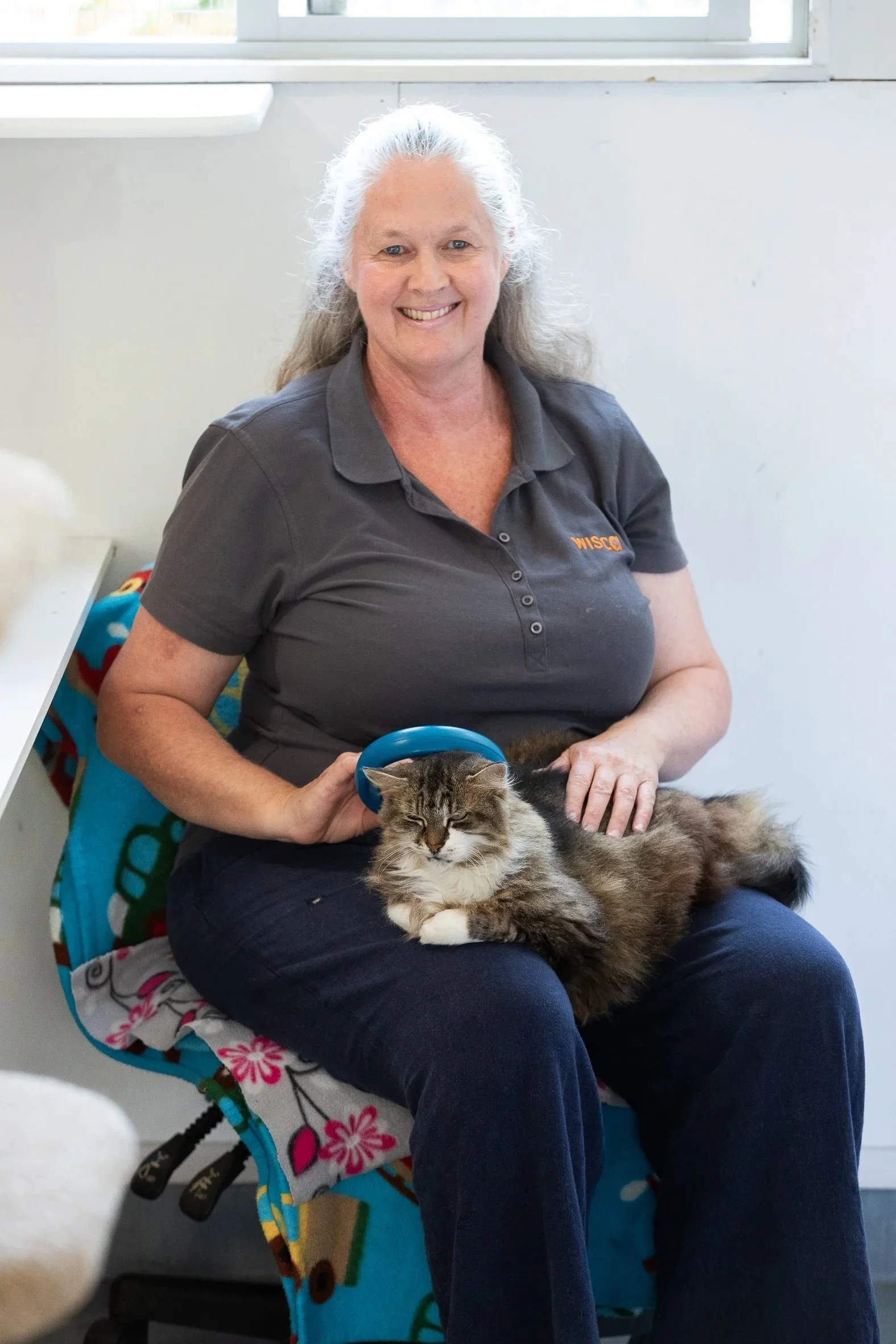 WISCA's animal advocate sitting with a long-haired tabby and white cat on her knee, holding a microchip scanner above the cat's neck.