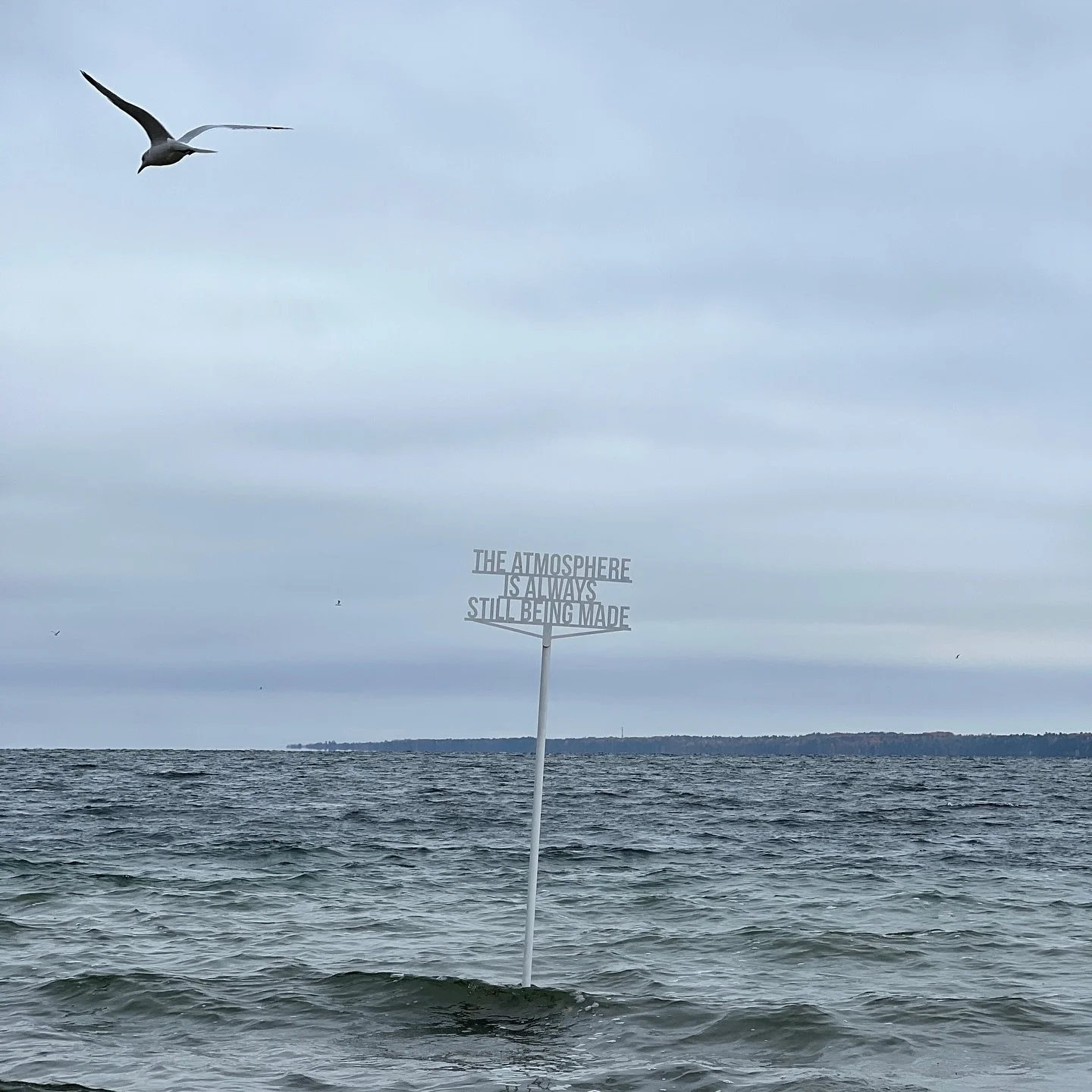 On the heels of Art Toronto, the DAG team (along with friend and artist @kristiina_lahde!) took a field trip to Barrie to experience the city&rsquo;s #SeedstoSow public art exhibition curated by Katie Lawson, running until November 8th. Thank you @ca