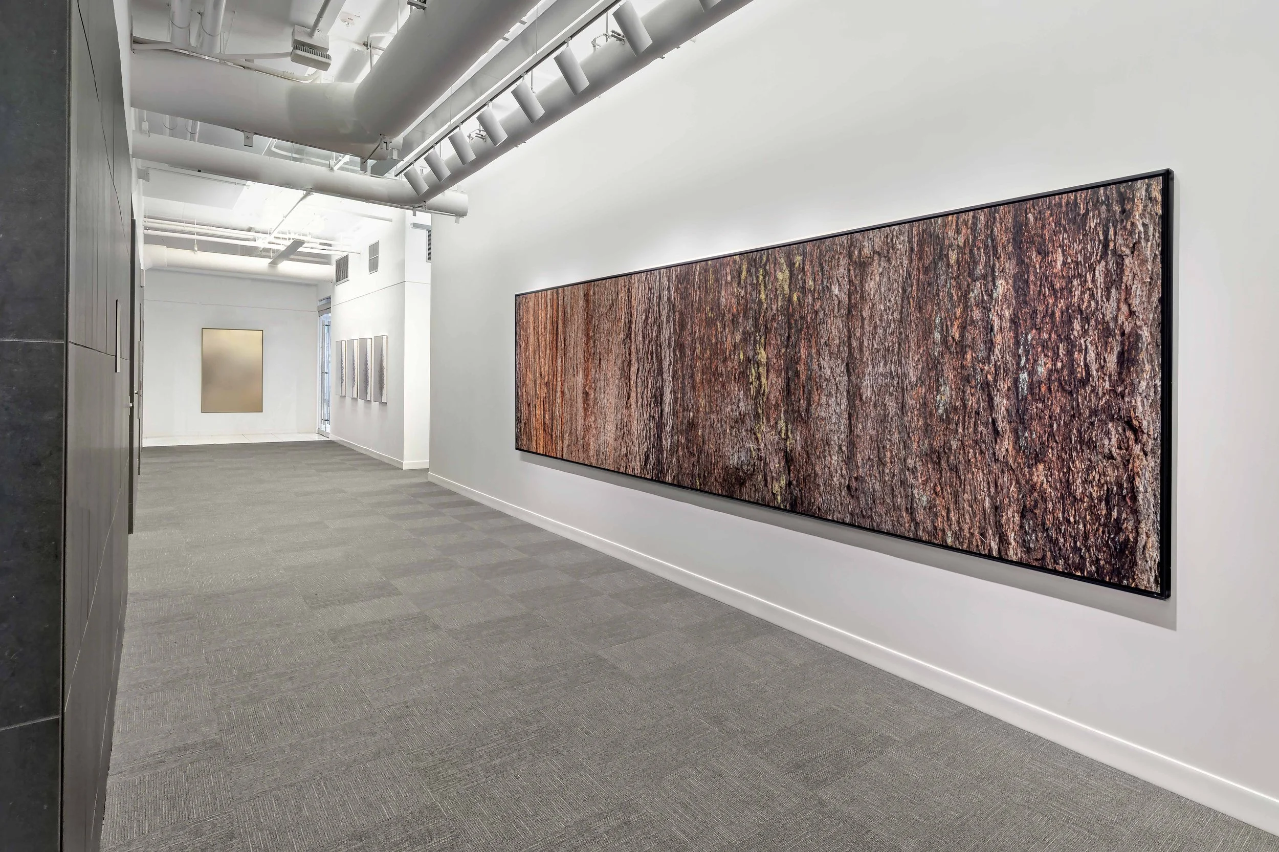 demetriou-art-group_telus-harbour_L3_Burtynsky_Big Lonely Doug-01.jpg