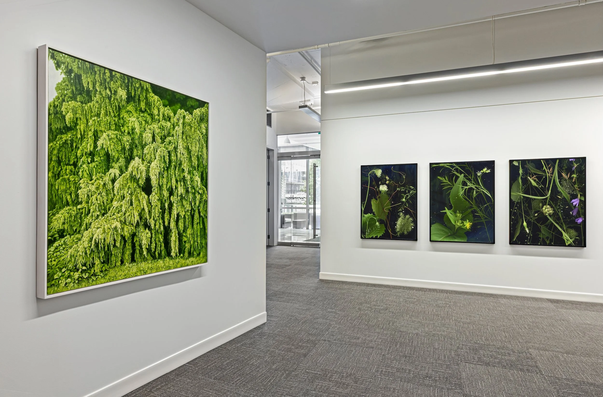 demetriou-art-group_telus-harbour_L3_Angelucci-02.jpg
