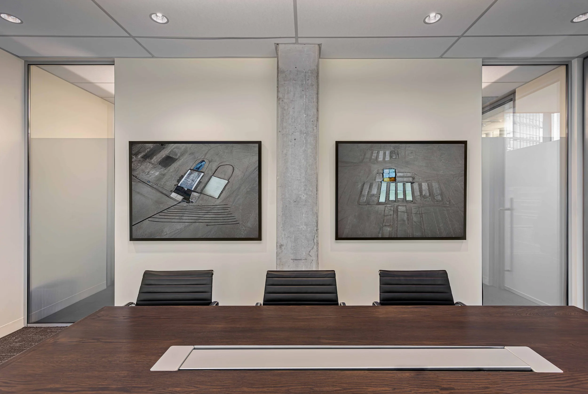 demetriou-art-group_telus-harbour_L30_Burtynsky_CEO Area-01.jpg