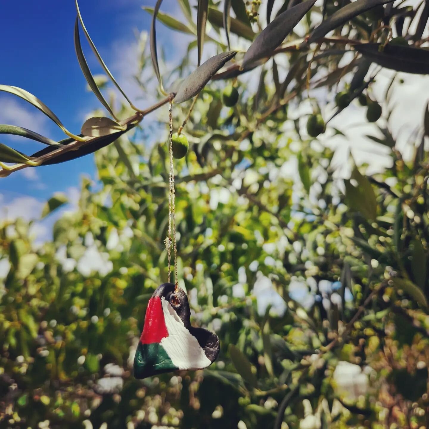 My heart is in Palestine and Palestine is in my heart. I've hung this hand-made ornament in my olive tree. It is now a site of connection and prayer. A prayer for the people of Palestine, that they may feel the love that the world holds for them amid