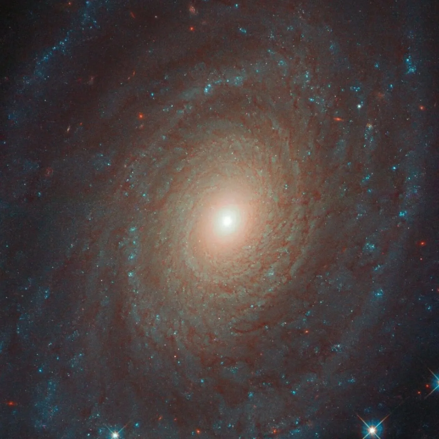 Our ancestors looked to the stars for guidance and inspiration. Stars are the light to dispel the dark night, a tool to help navigate across land and sea and a source of magic. I have come to relate to the planets as deities in their own right as wel