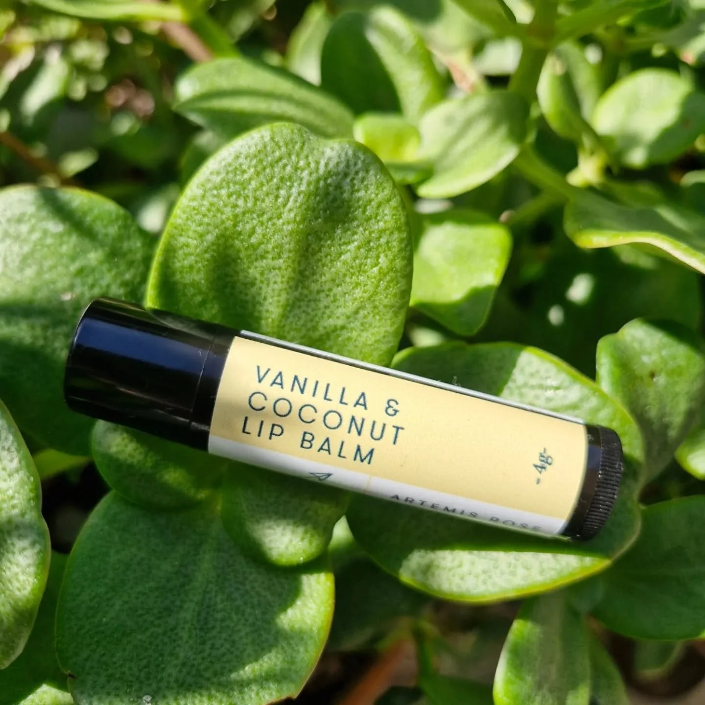 A go-to summer fave for keeping lips soft and nourished after days of sun, sea and camping ❤️

#artemisrose #vanillacoconutlipbalm #greenbeauty #plantbased #tassiemade