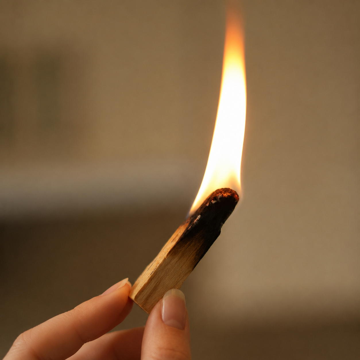 palo santo.png