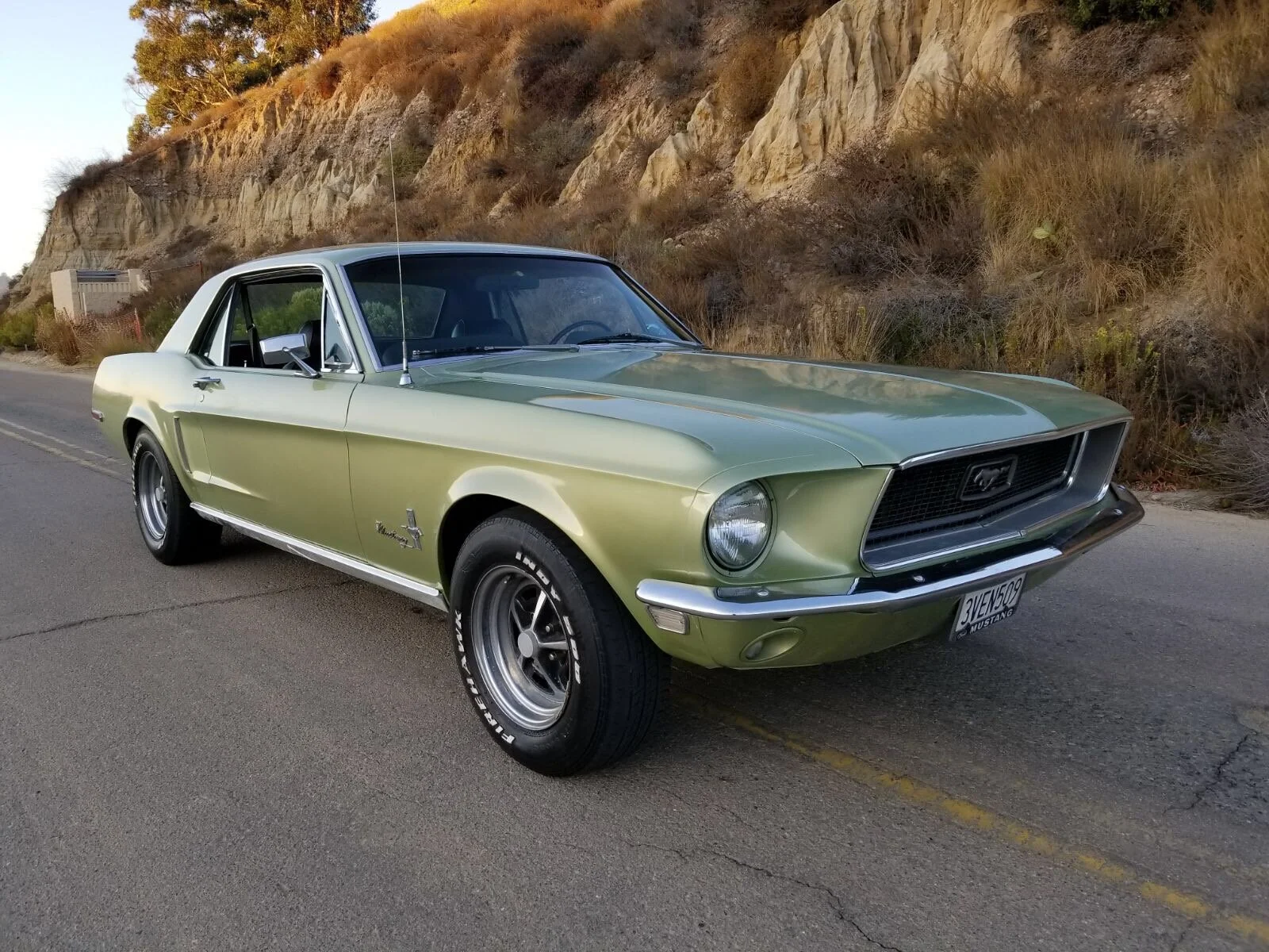 1967 GTA Mustang Coupe