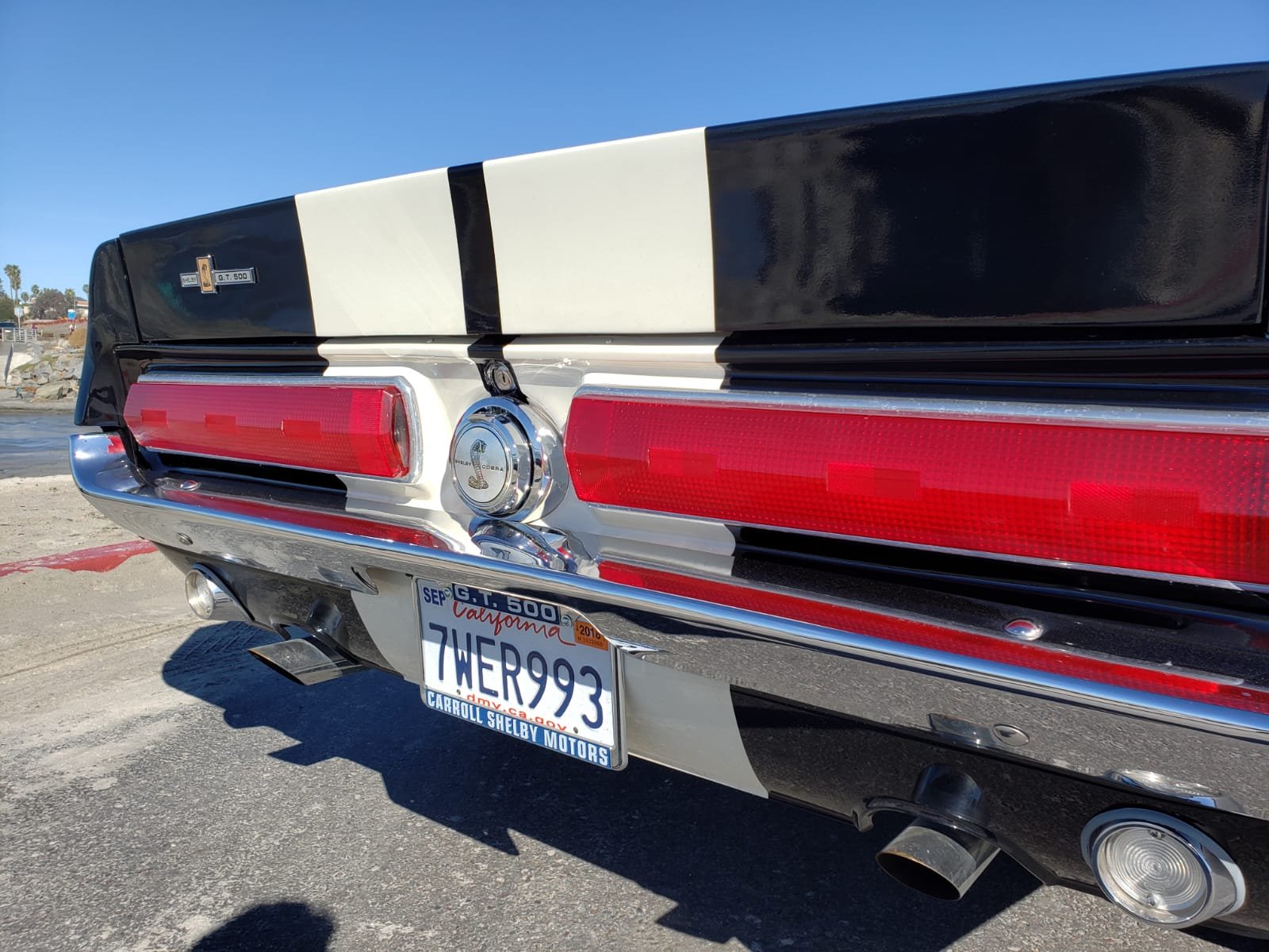 Shelby gas cap, fully functional truck lock, and dual tip exhaust tie the rear view together perfectly and that Shelby badge is the icing on the cake