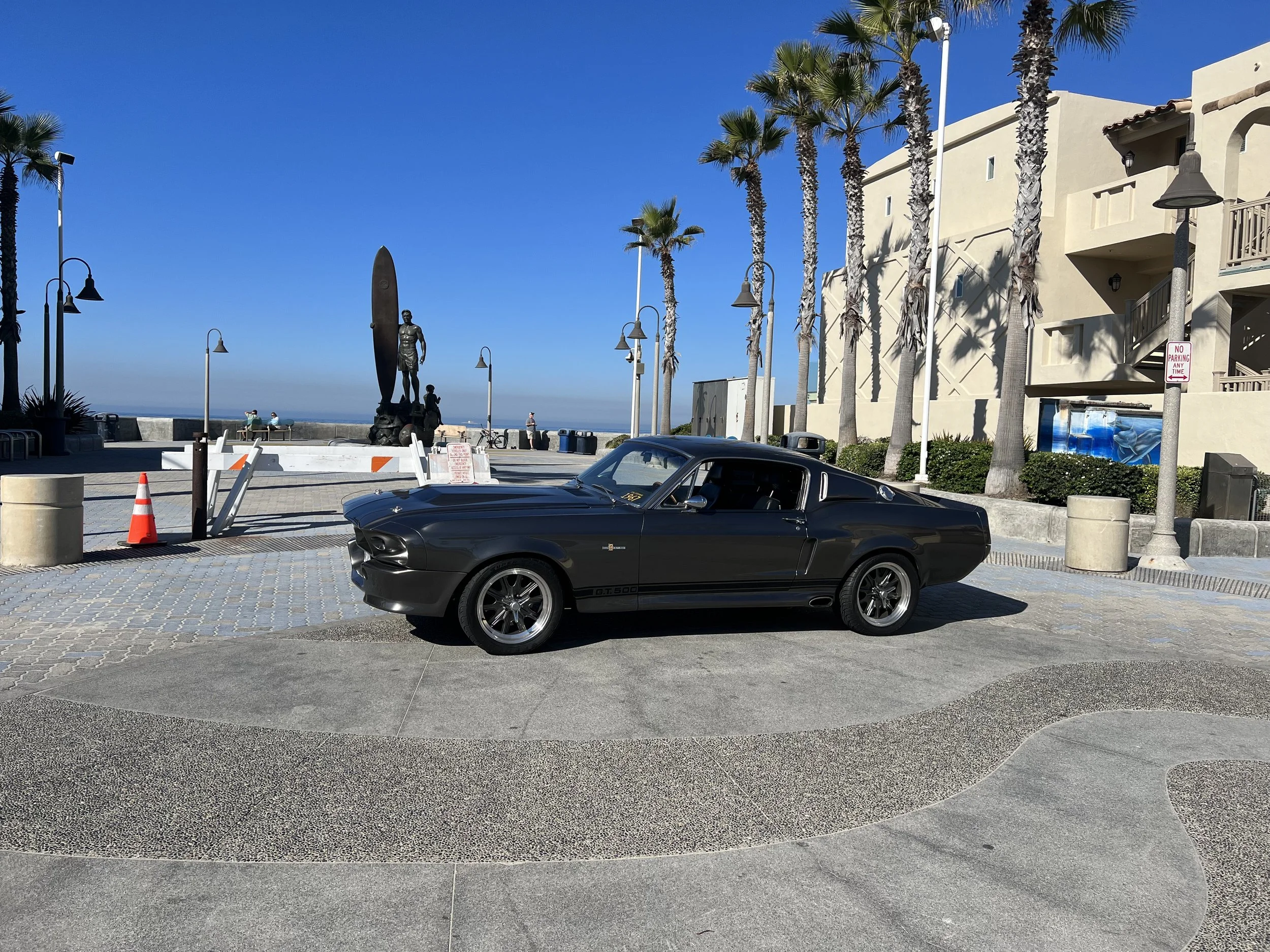 Surf, Sand and Eleanor, what more could you ask for