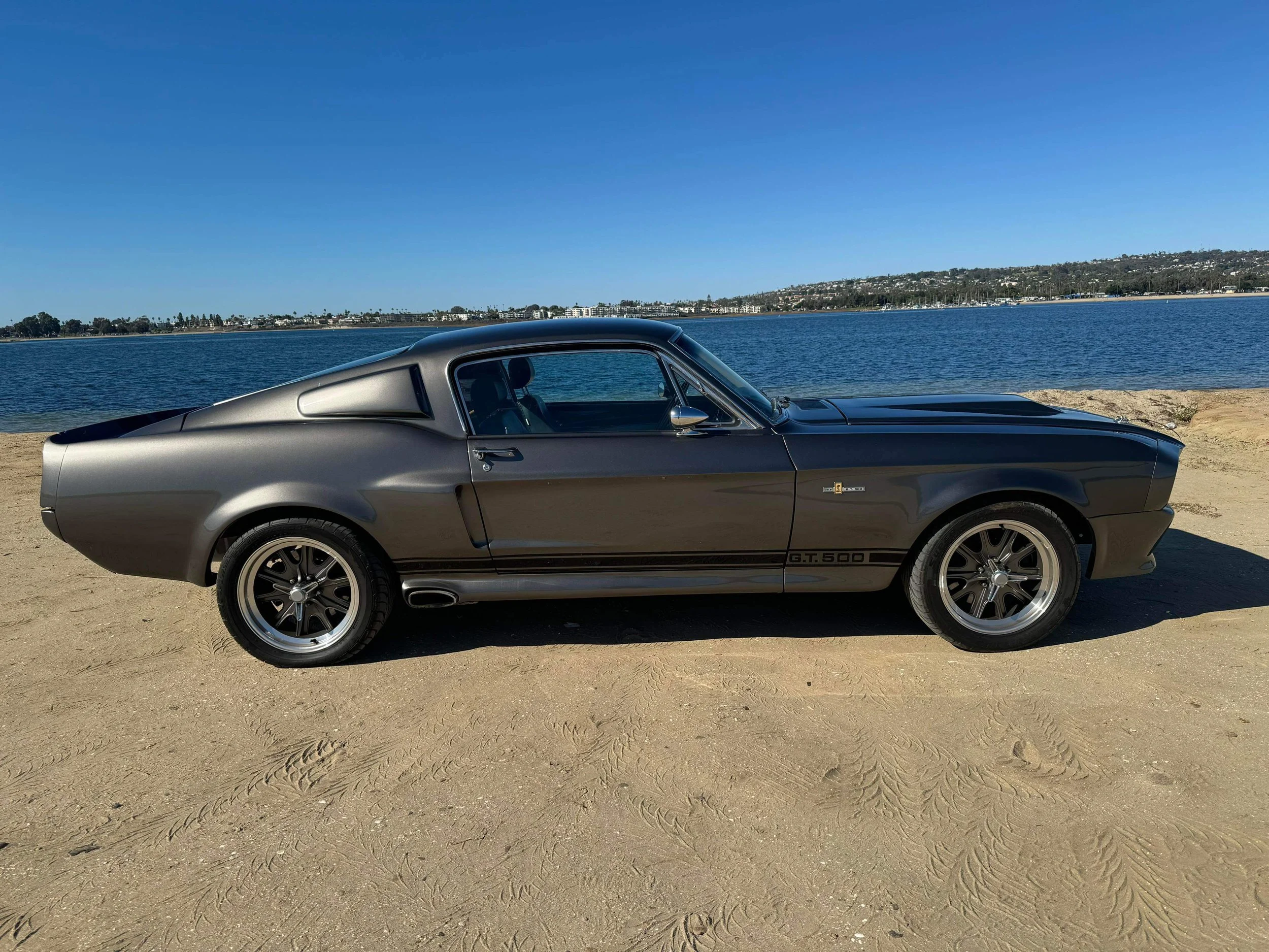Eleanor catching a tan in san diegos beautiful mission beach 