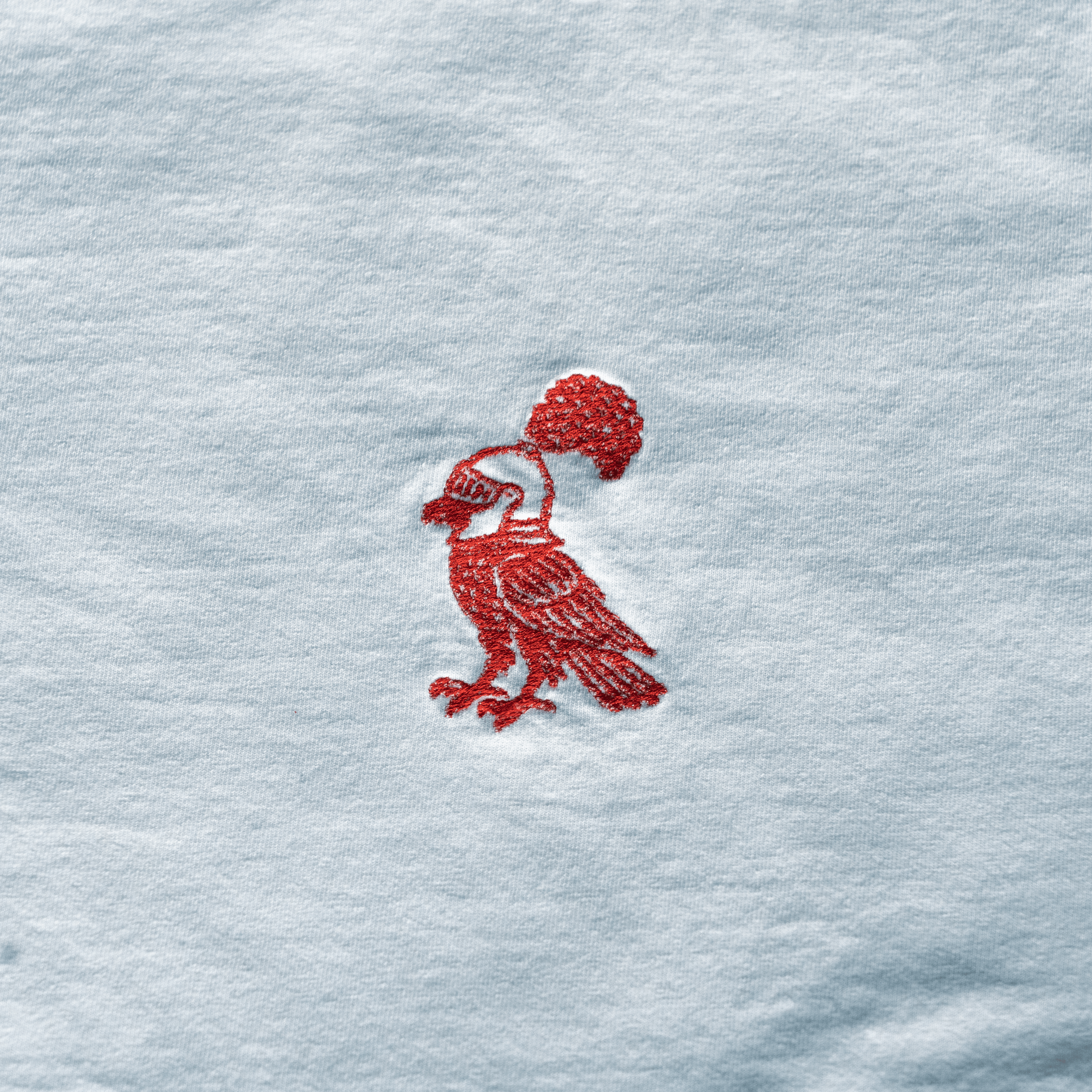 DETAIL SIRBIRD-min.png