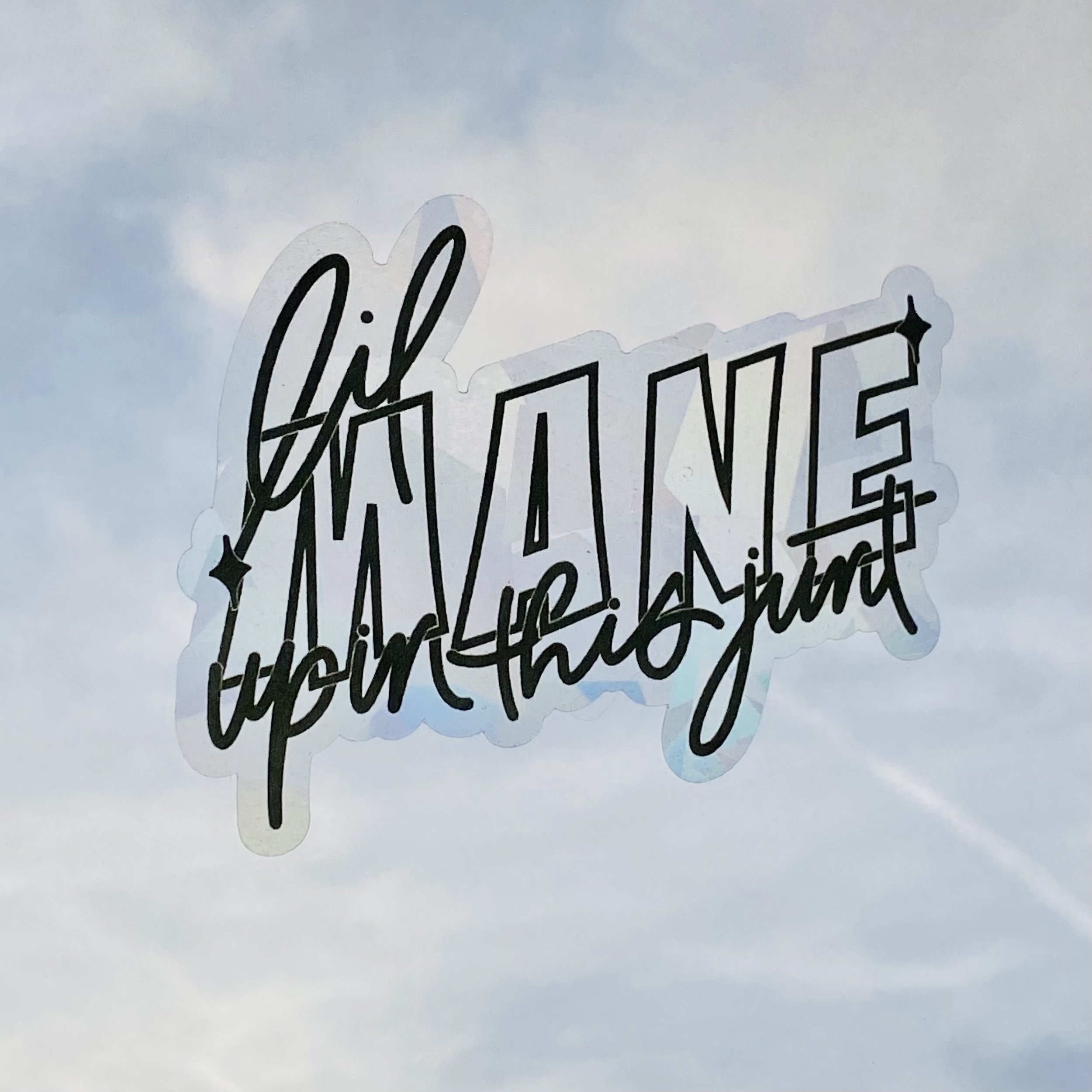 mane suncatcher.jpeg