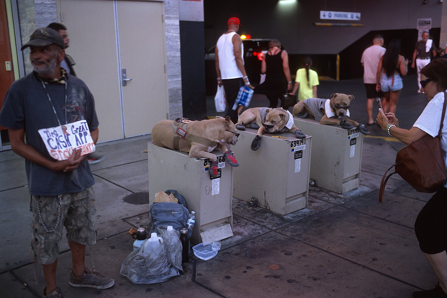 Homeless with dogs — Las Vegas, Nevada
