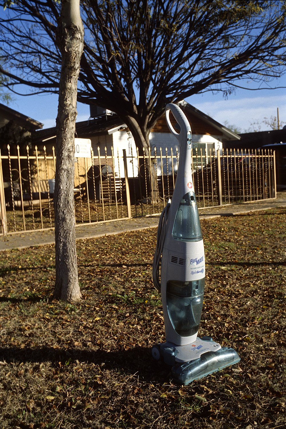 Front lawn, Gilbert, Arizona