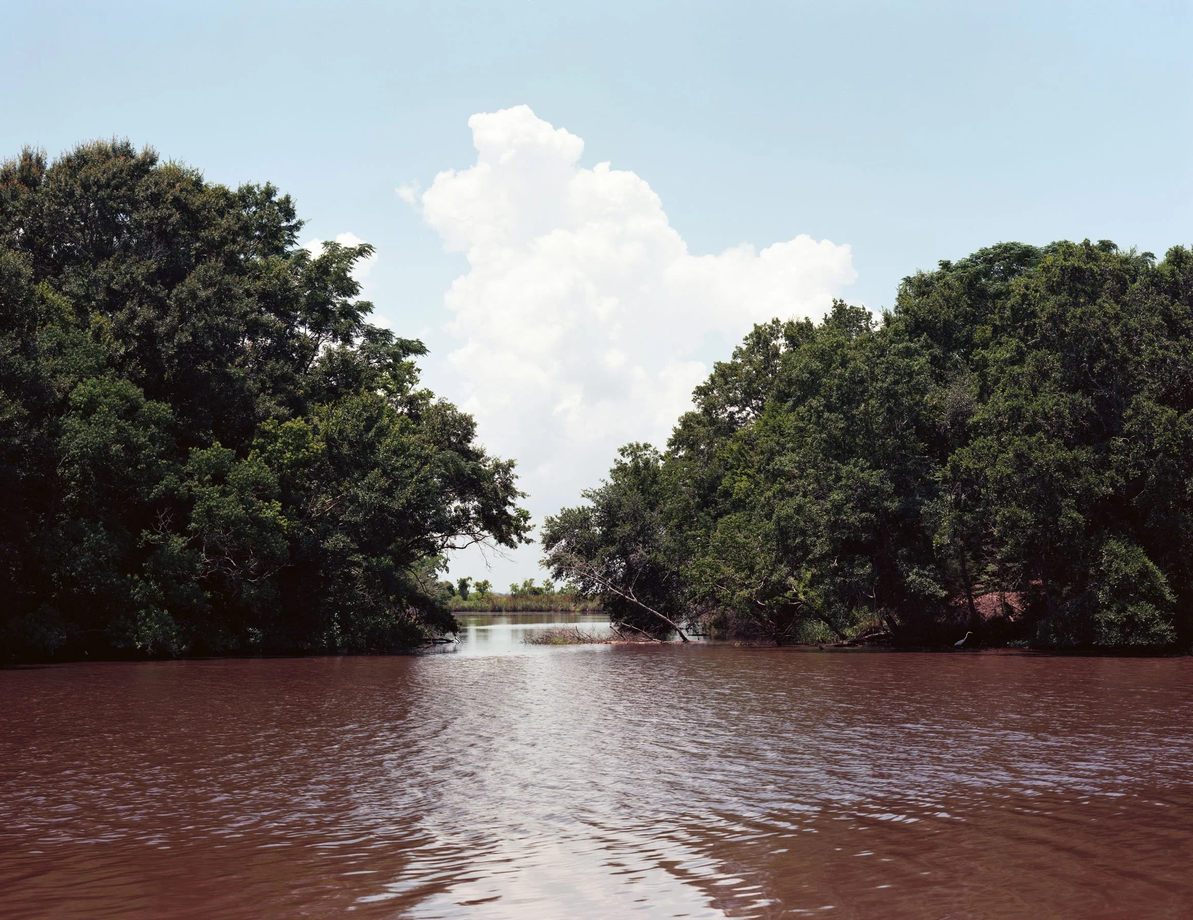 Hayes Coulee, Avery Island, Louisiana