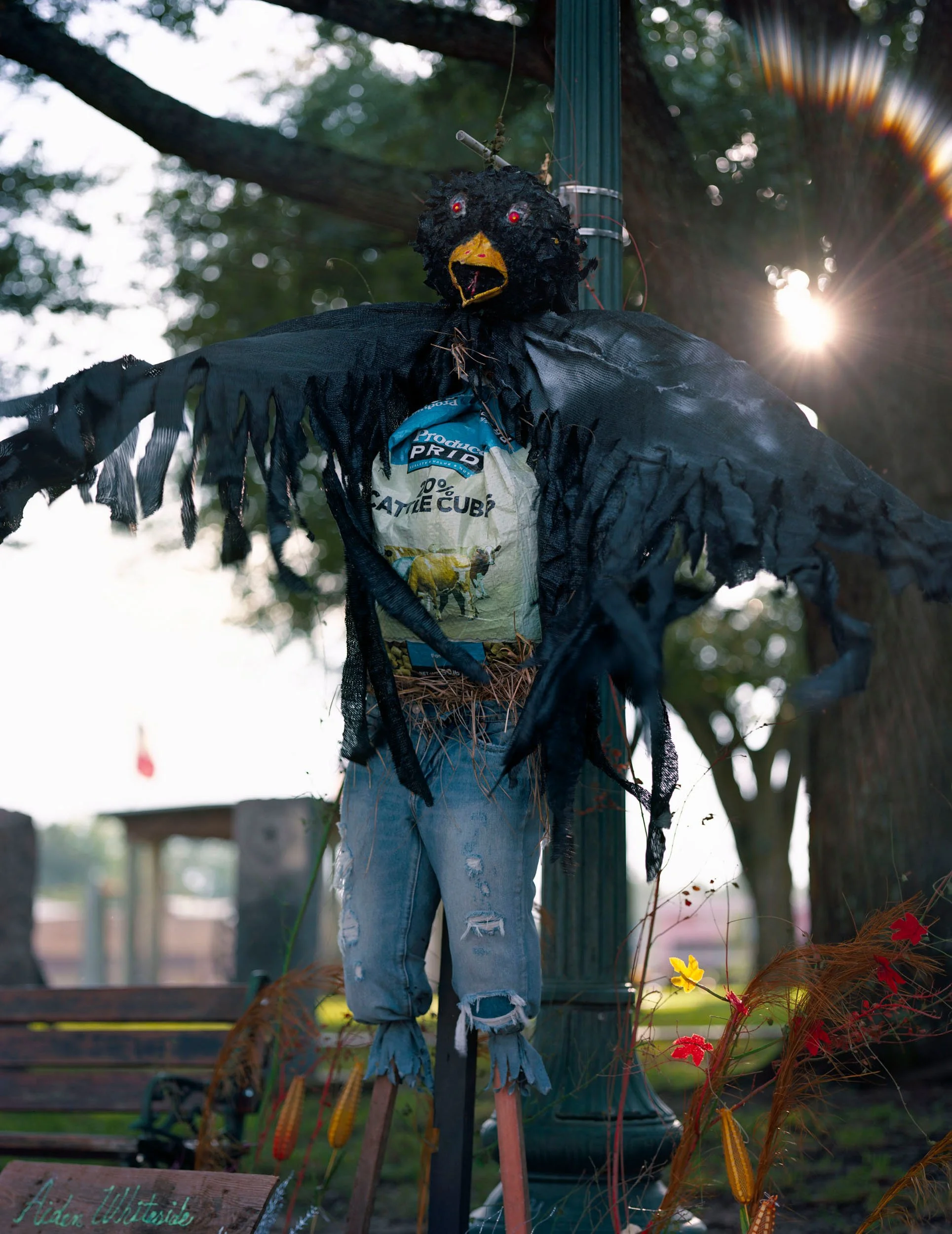 Freestone County Courthouse Square, Fairfield, Texas