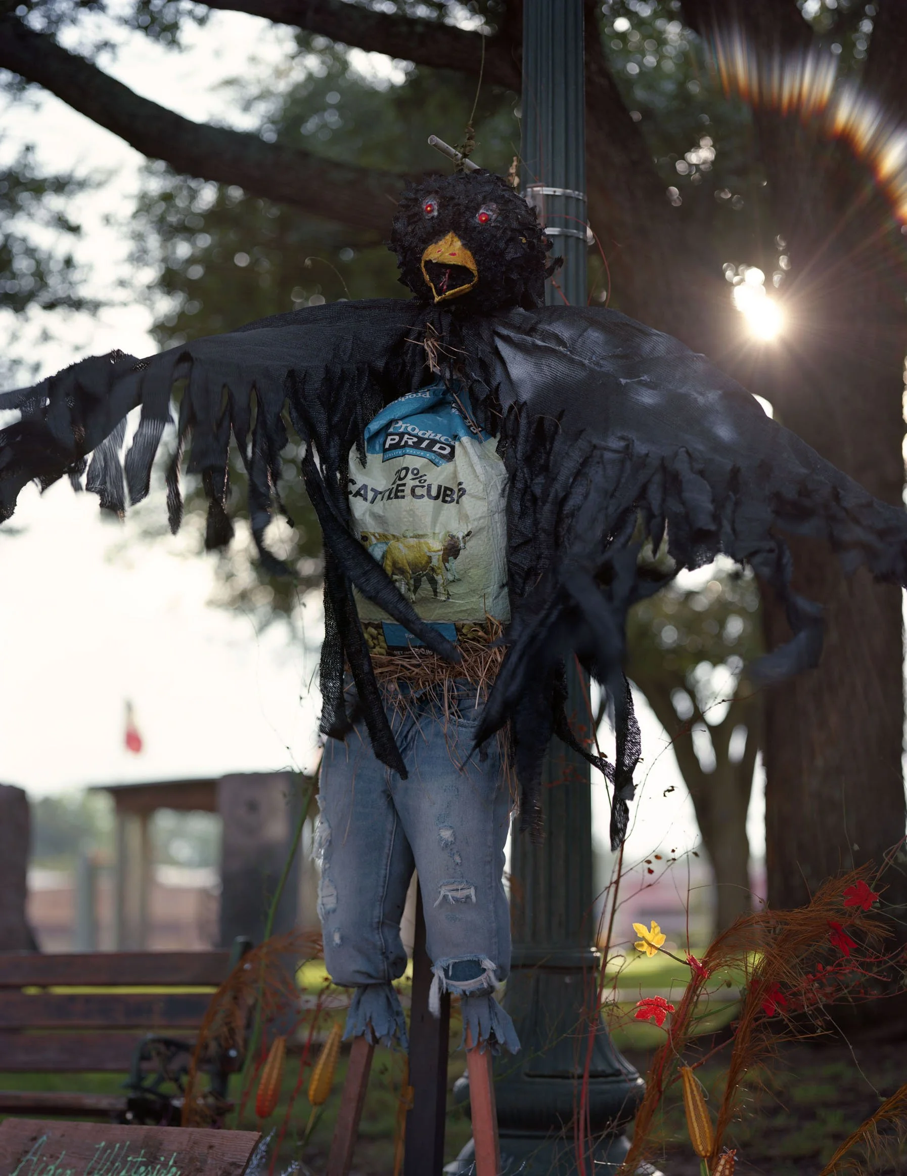 Freehouse County Courthouse Square, Fairfield, Texas