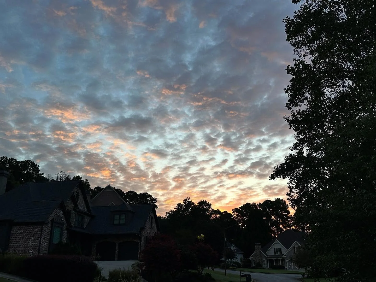 Good morning friends! What are you excited about today?