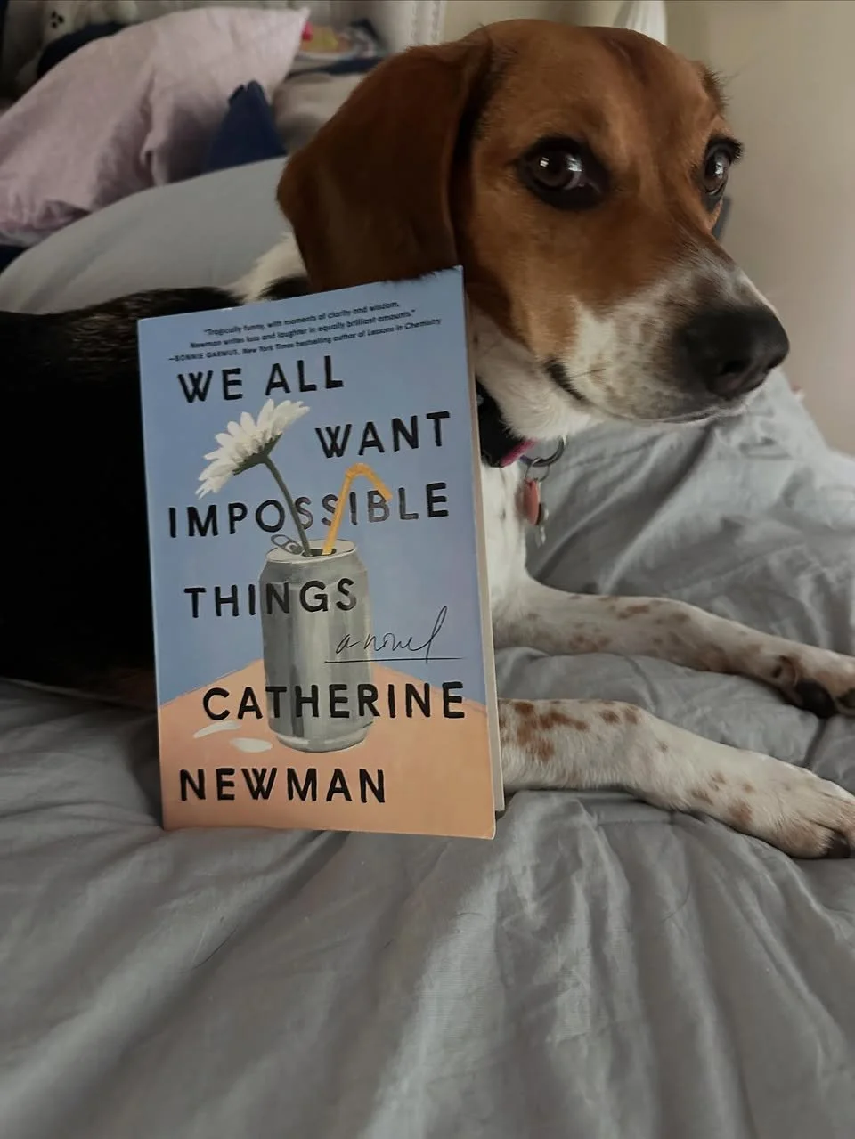 We All Want Impossible Things