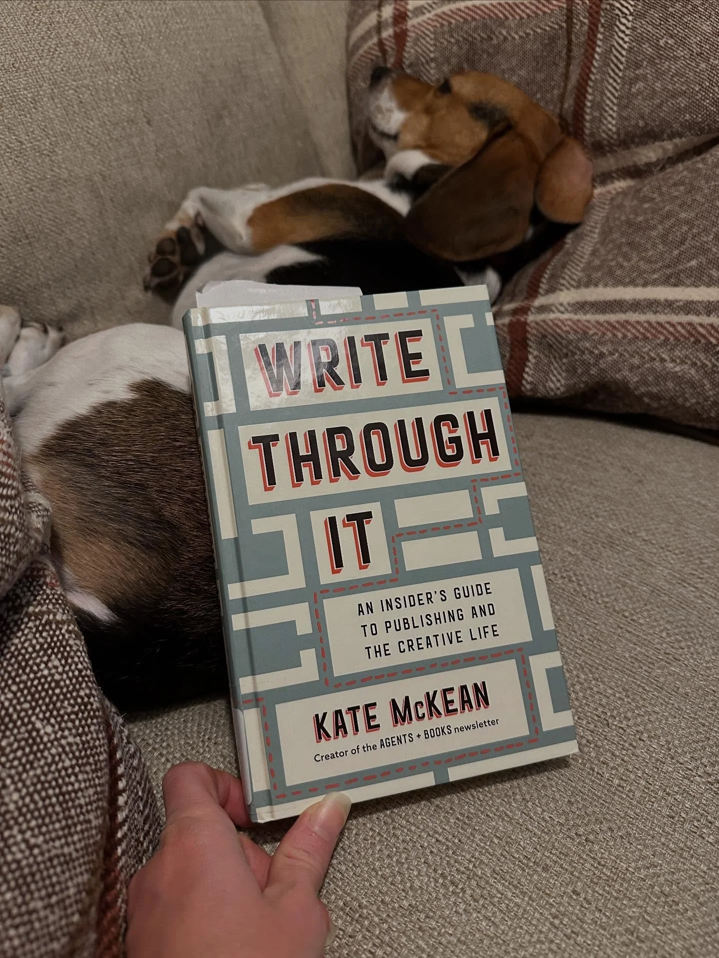 *for my fellow writers*

👆🏻 If you want to pursue the traditional publishing path (vs self-publishing) this one is for you! If you&rsquo;re already pretty far along (published) you probably learned this stuff via trial by fire, but if not, this is 