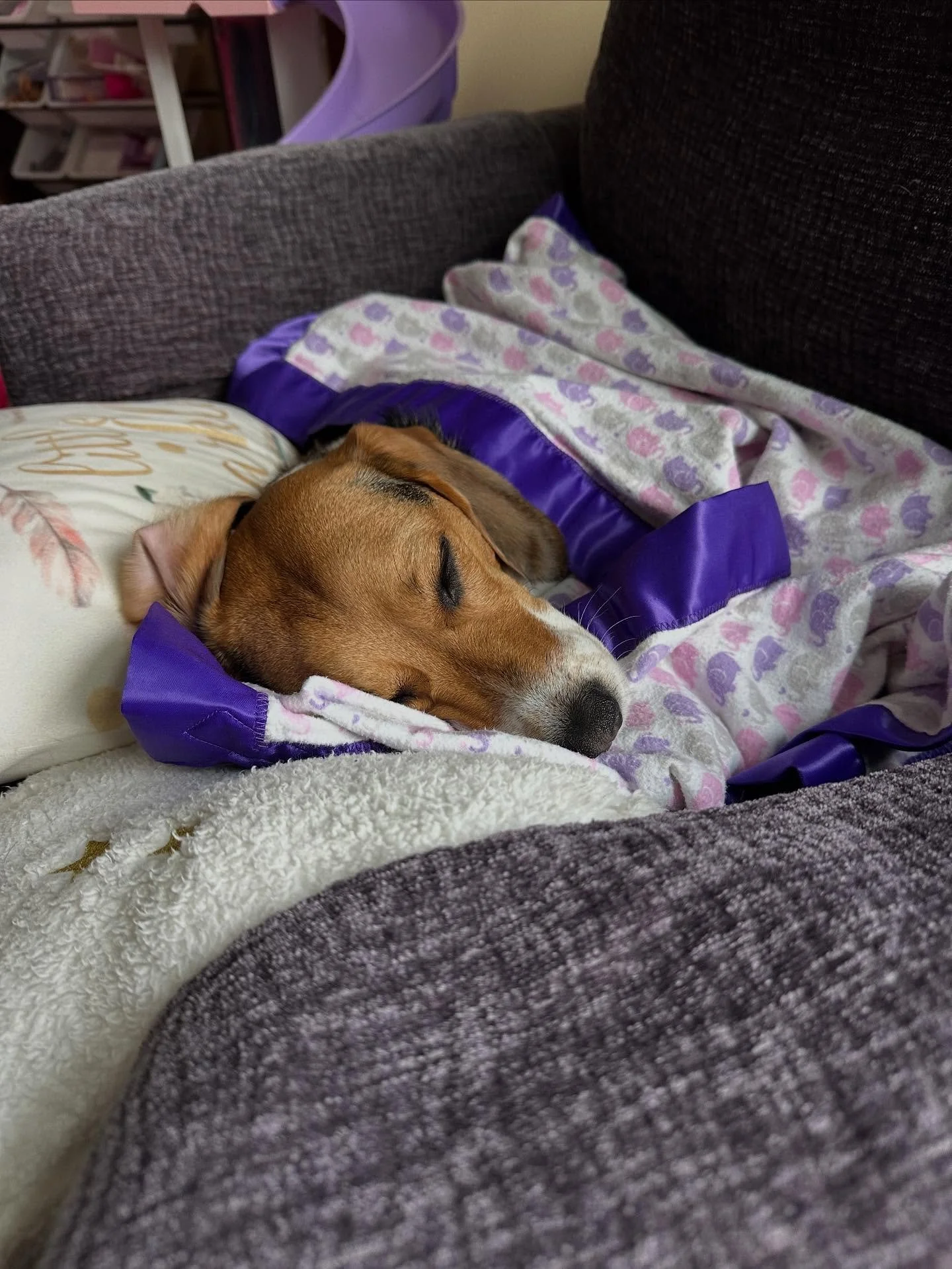 I&rsquo;m doing an on-paper read through and markup of the manuscript I&rsquo;ve been in the thick of revising this fall, and I like to do those away from my office for fresh perspective as I read. Today I&rsquo;m working at the desk in my kids&rsquo