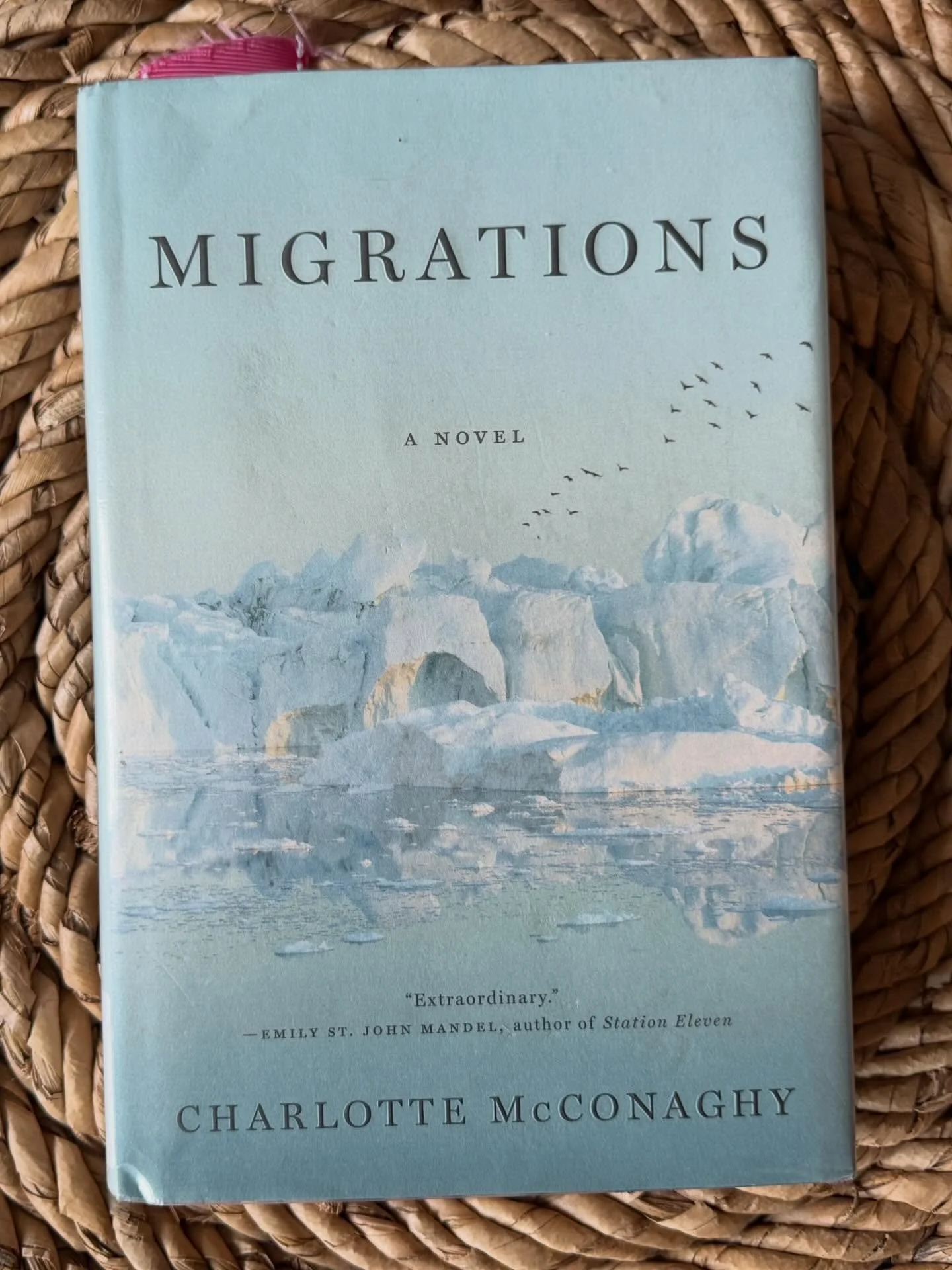 Franny Lynch&rsquo;s first true love is the sea, and her story is nested in a story about Arctic terns, who are embarking on what might be their last migration before extinction. The depth of the sea and the height of the birds&rsquo; flight are the 