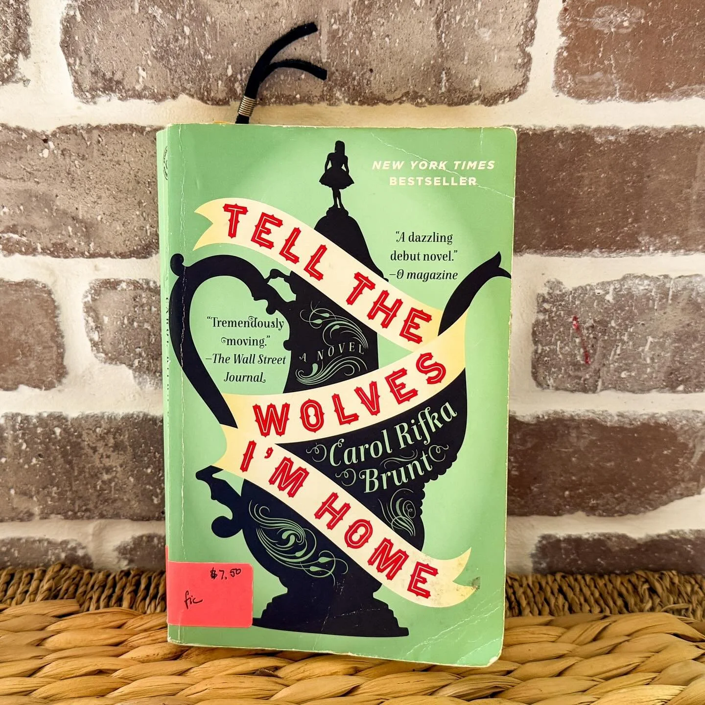 Tell the Wolves I&rsquo;m Home is about June Elbus, a fourteen-year-old-girl in the late 80s whose uncle&mdash;and best friend, confidante, and first love&mdash;dies of AIDS. It rocks June to her core, but his slow death also triggers other fractures
