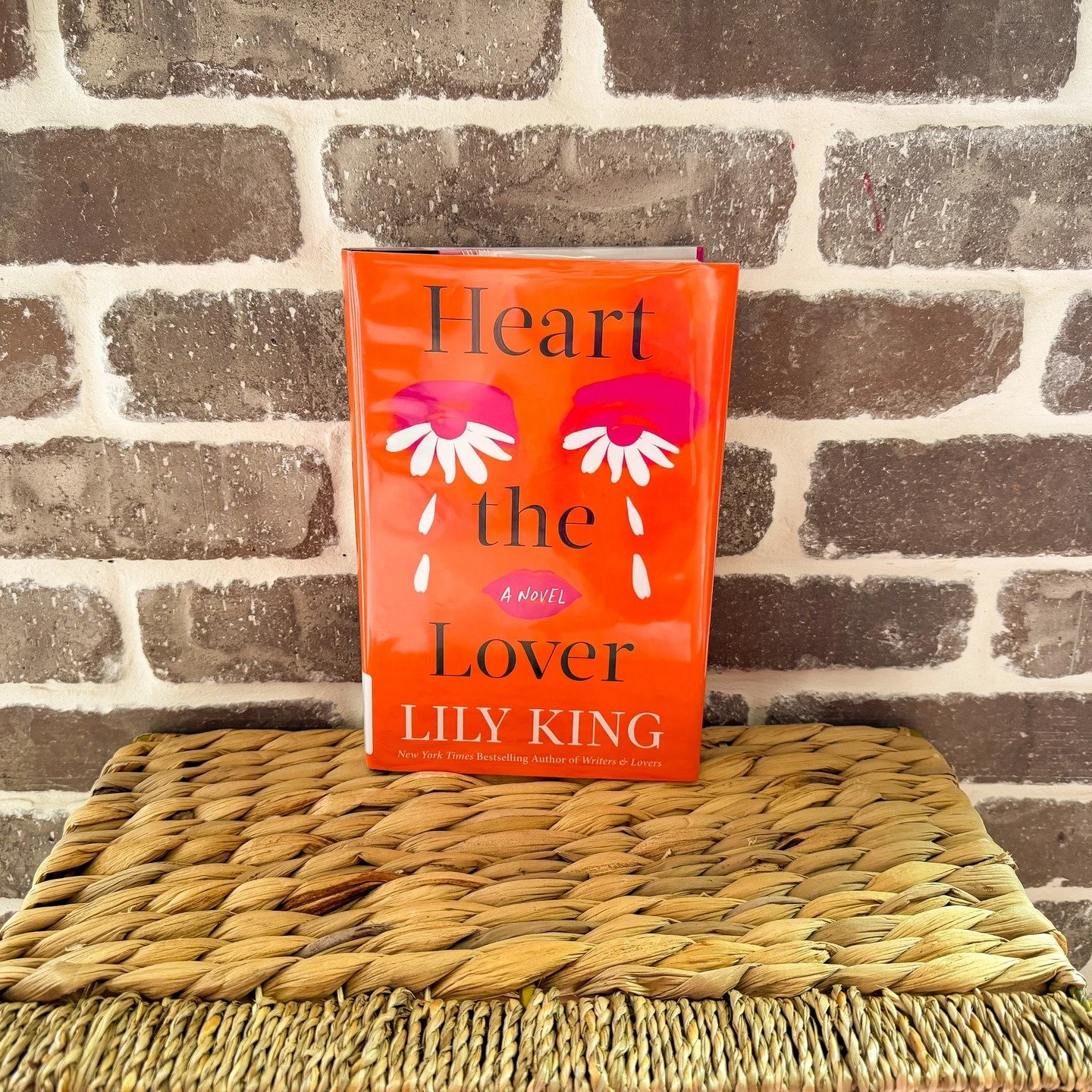 It&rsquo;s hard to explain the story of this book in a way that will do it justice. The premise sounds so quiet&mdash;so slice of life&mdash;but reading it feels like so much more than that. It&rsquo;s a deeply intimate experiencing of something most
