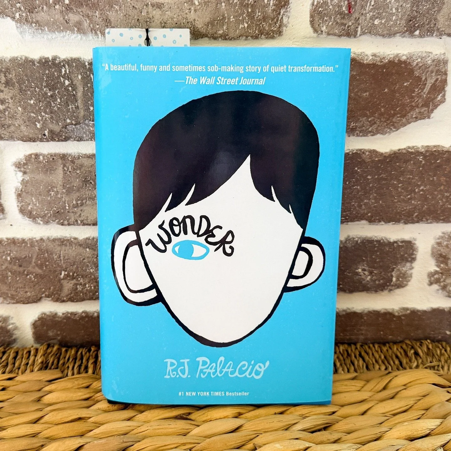 Auggie Pullman is just a regular kid the summer before fifth grade&hellip;except he&rsquo;s always been homeschooled because of a combination of rare genetic disorders that&rsquo;s left his face severely deformed. But his mom thinks it&rsquo;s time t