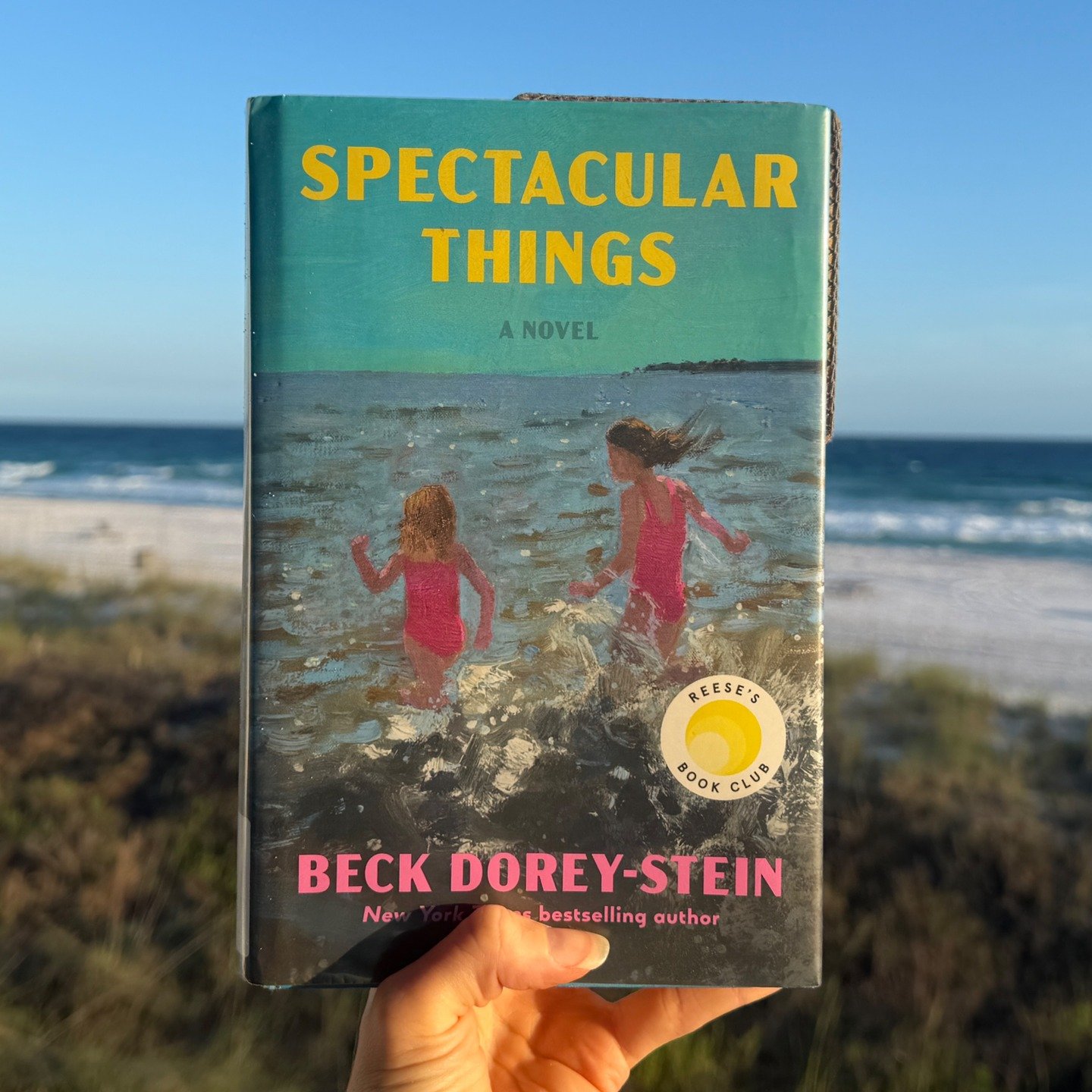 &ldquo;A steady, ordinary life can be extraordinary so long as it&rsquo;s centered around family and community and filled with love.&rdquo;

Spectacular Things is one of those books that reminds me why I love fiction. On the surface, it's a family sa