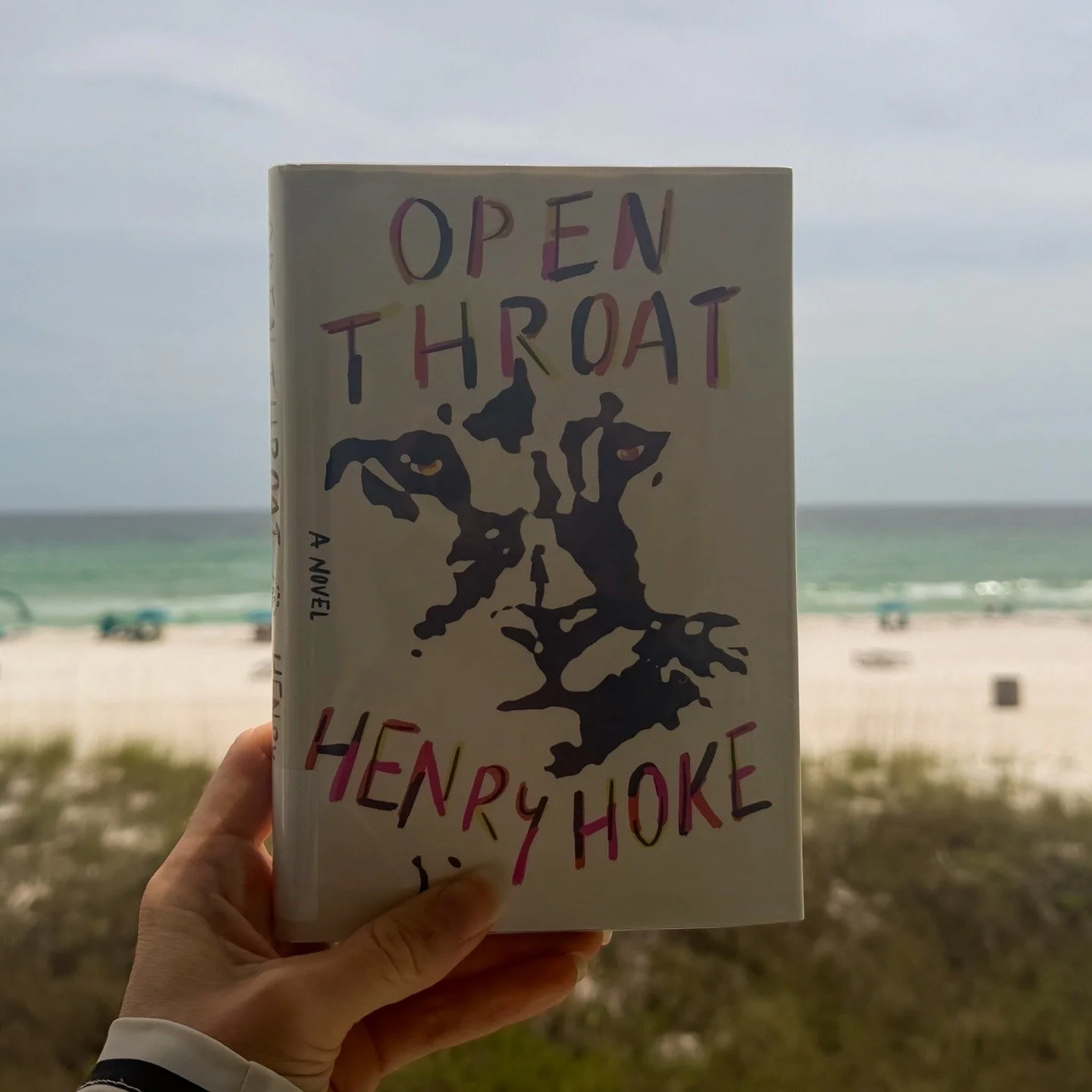 Open Throat by Henry Hoke is about a mountain lion narrating their own displacement through LA. The lion observes the human condition&mdash;cell phones, climate change, unhoused neighbors&mdash;with a closeness that somehow hits harder because they d