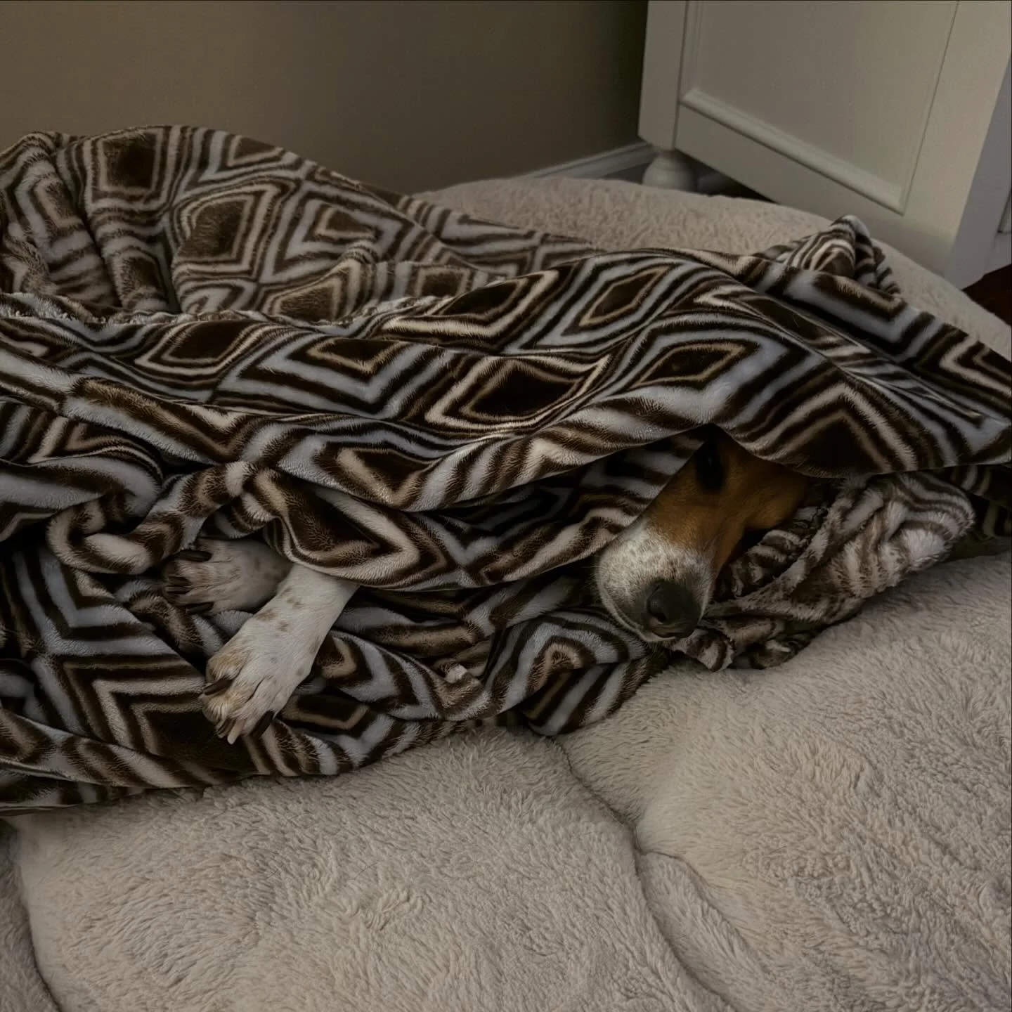 👆🏻 my vibe going into the weekend, too 😴

#Bookstagram #BeagleLife #MomsWhoRead #rescueddogsofinstagram #CozyLife