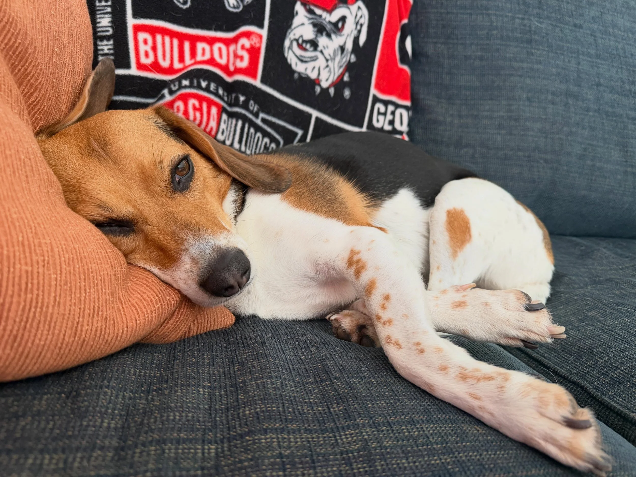 Gratitude diary: Friday, September 5

What are you grateful for today?

Today I&rsquo;m grateful for my neighbor, who very likely saved my dog&rsquo;s life (or at least, spared us a very expensive vet bill) when she happened to be walking her own dog