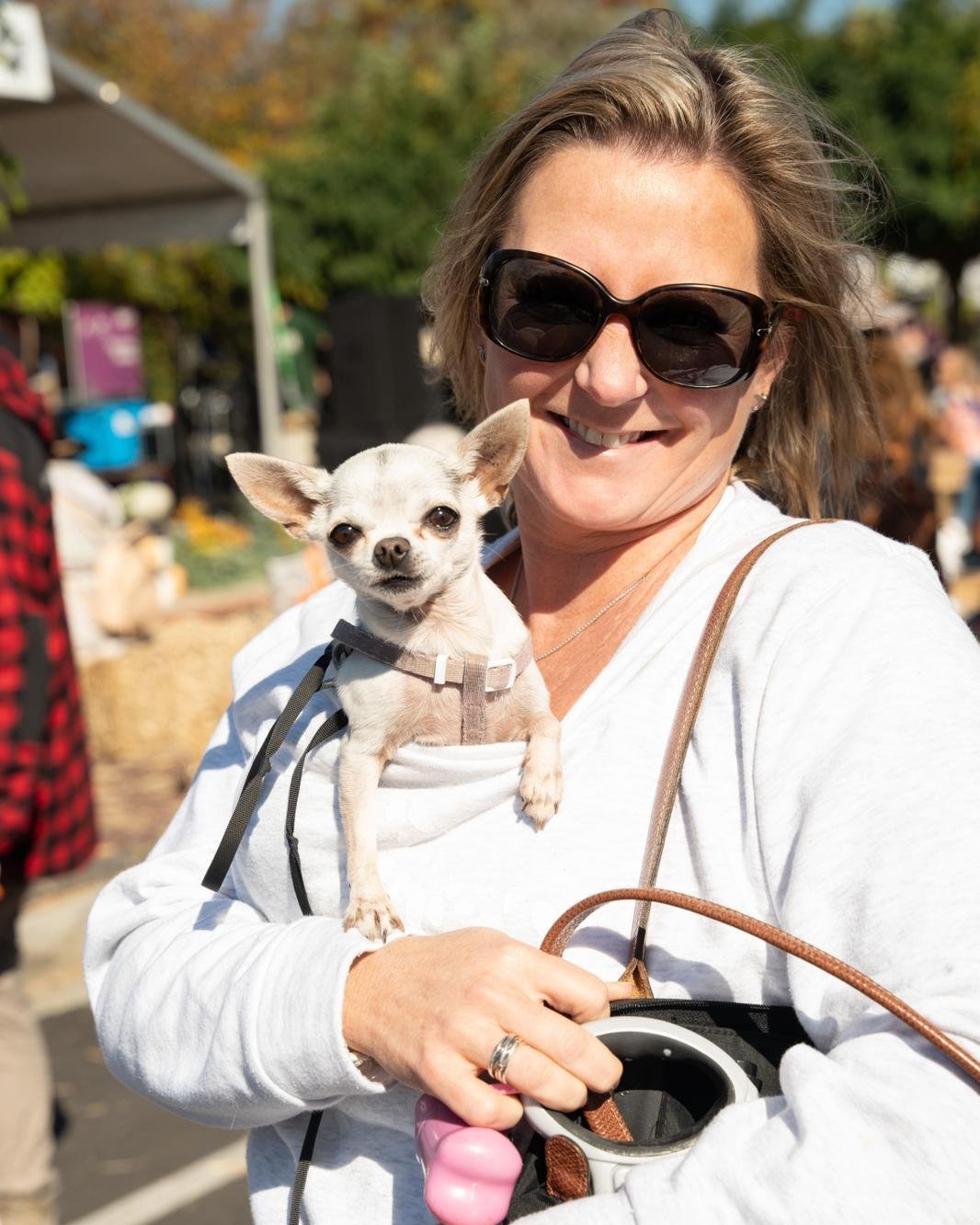 We love dogs, in fact, every member of our committee has one (if not several). However, as our event has grown, so too has the risk of having too many animals and humans coexisting along Station Street.

From this year, we kindly ask that you do not 