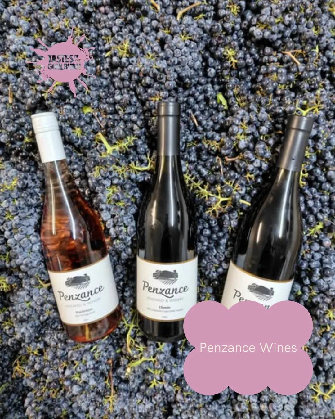 From hospital wards and lab coats to vines and vintages&hellip; meet the heart behind @penzancevineyardwinery 🍇

Stephen and Kate didn&rsquo;t just retire&mdash;they rewrote the script. Swapping careers in microbiology and nursing for rows of vines,