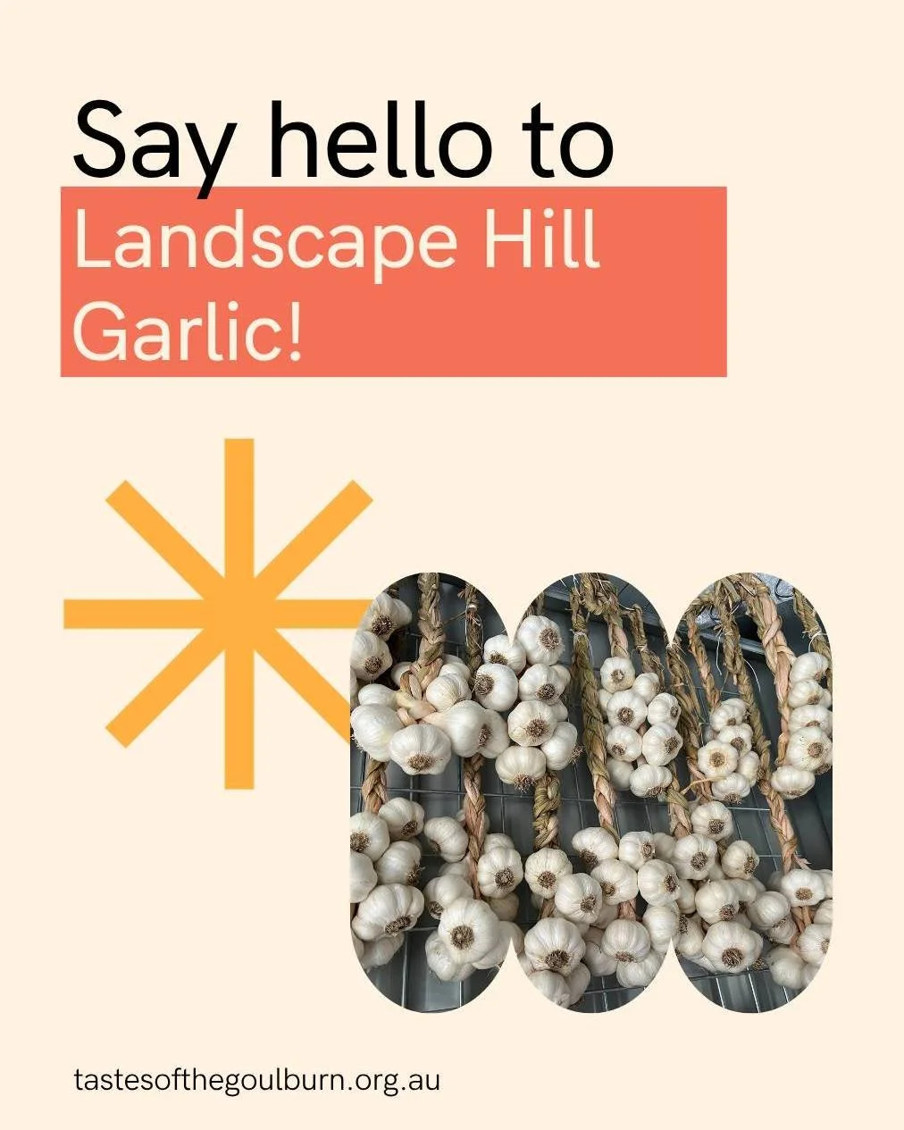 Pop quiz for the gourmand...

Q) What do White Crookneck, Perhonnen, Blue Sky Creole, Silver Lady and Dynamite have in common?

A) They're all a type of garlic and also all grown by a Tastes' 2026 newcomer, Landscape Hill Garlic.

So, as well as welc